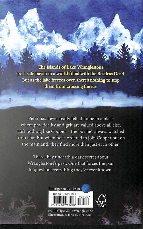 wranglestone: shortlisted for the costa book awards - Ảnh 5