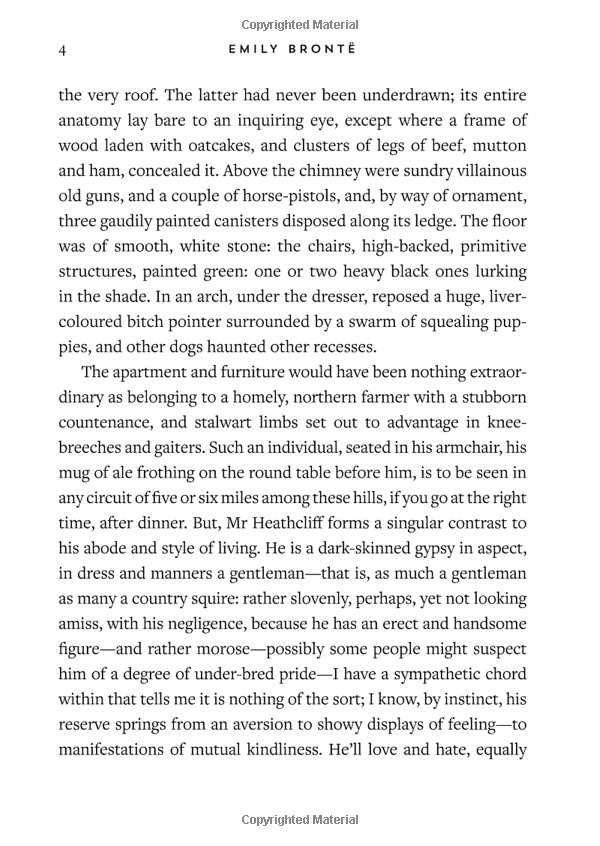 wuthering heights (be classic) - Ảnh 10