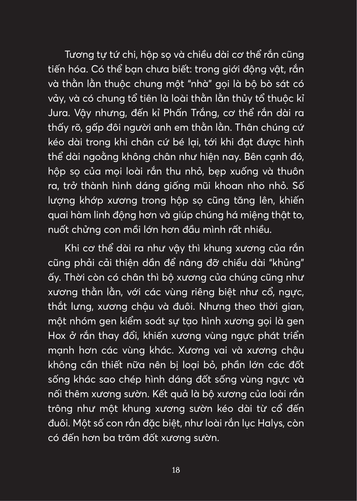 xà điển - muôn chuyện về loài rắn - Ảnh 10