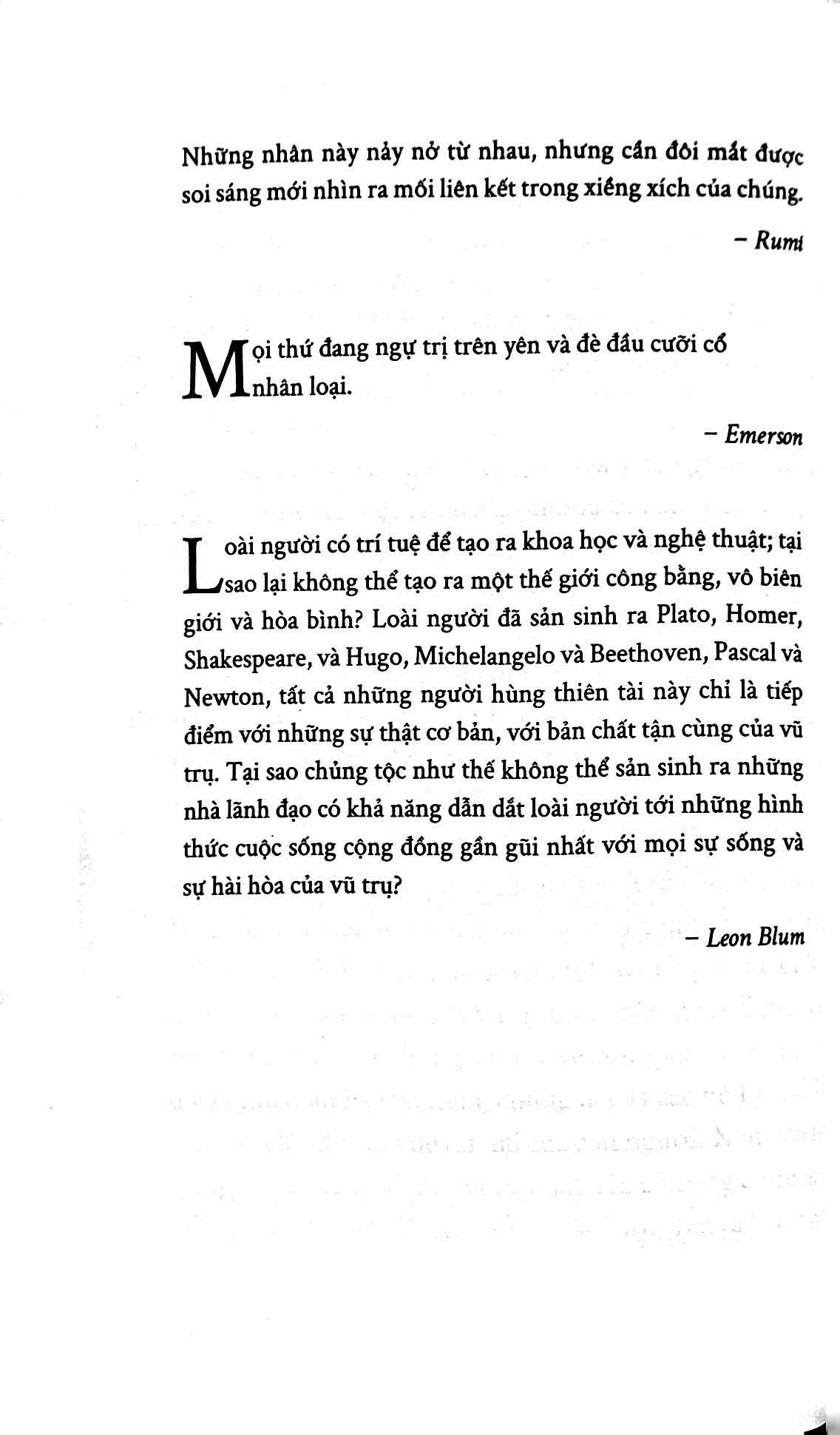 xã hội tỉnh táo - Ảnh 6