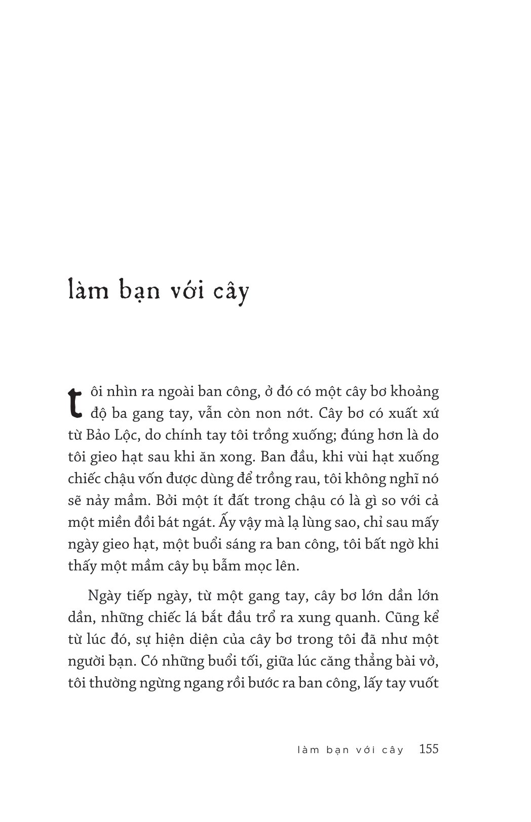 xin chào ngày nắng đẹp - Ảnh 12