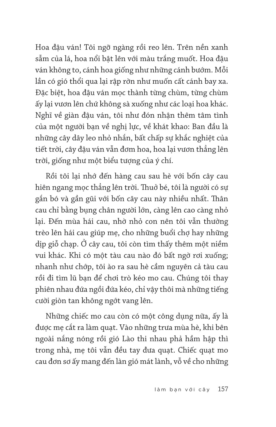 xin chào ngày nắng đẹp - Ảnh 14