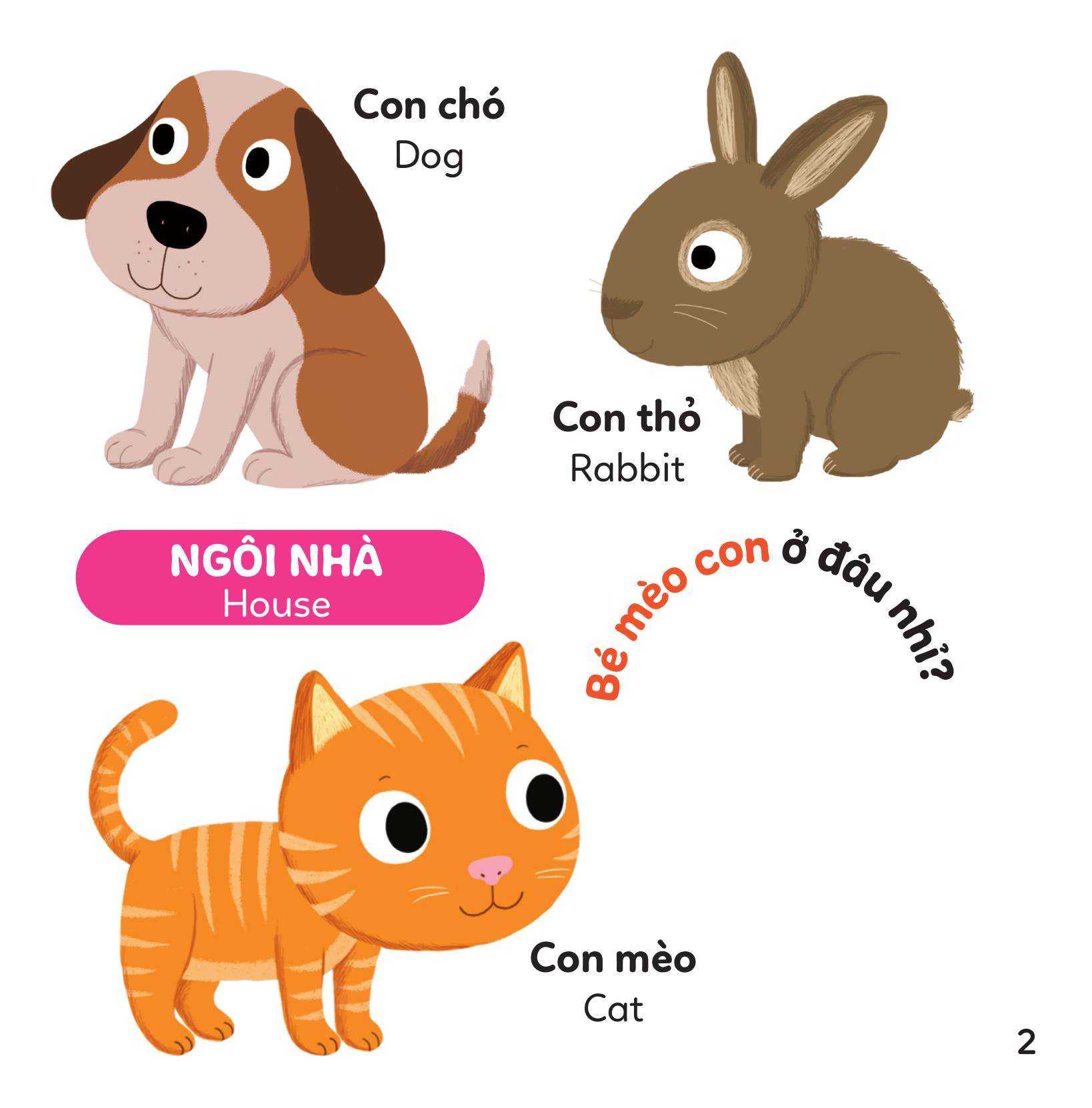 xoay xoay xoay đi tìm - động vật - bìa cứng - Ảnh 4