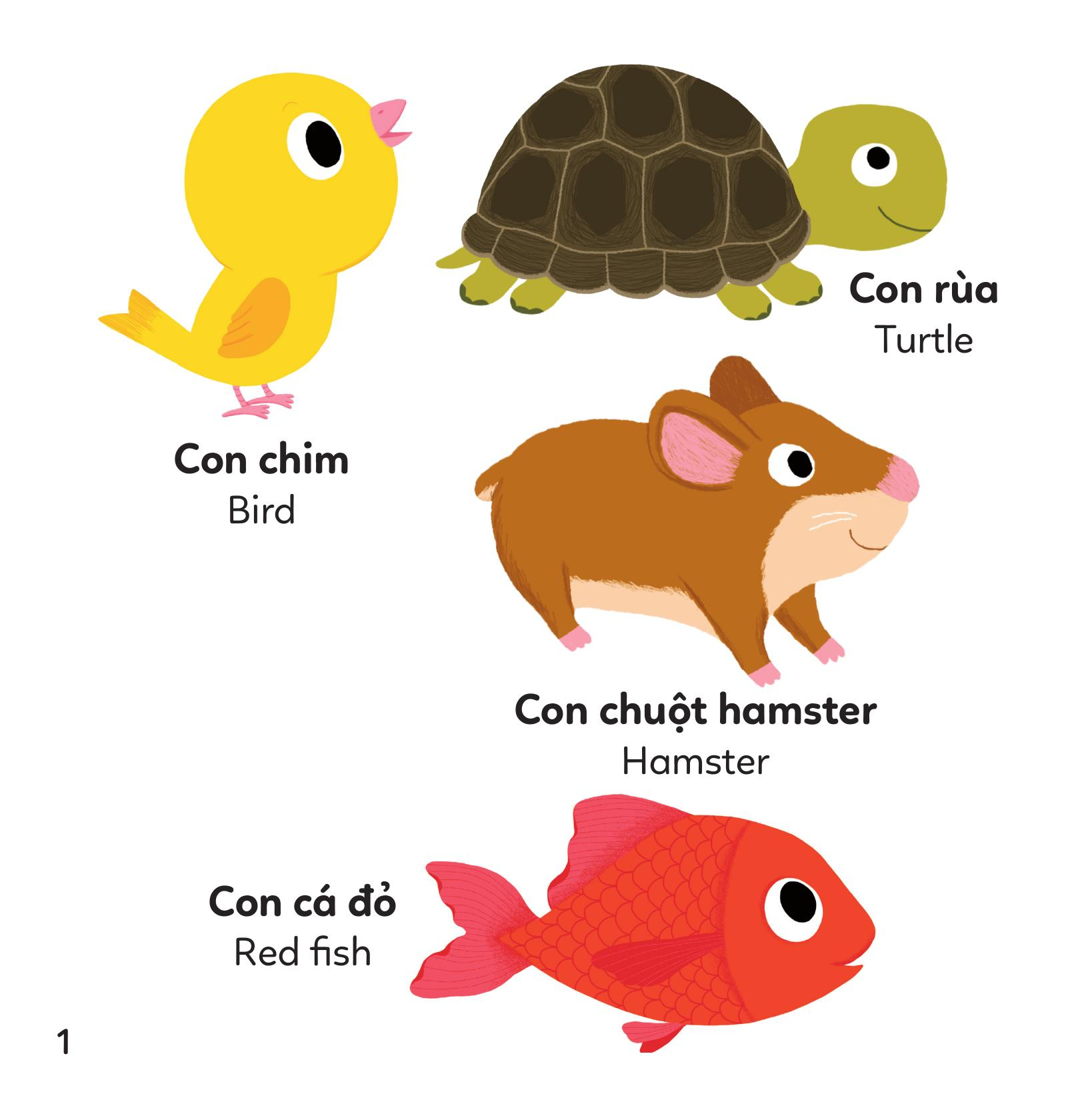 xoay xoay xoay đi tìm - động vật - bìa cứng - Ảnh 5