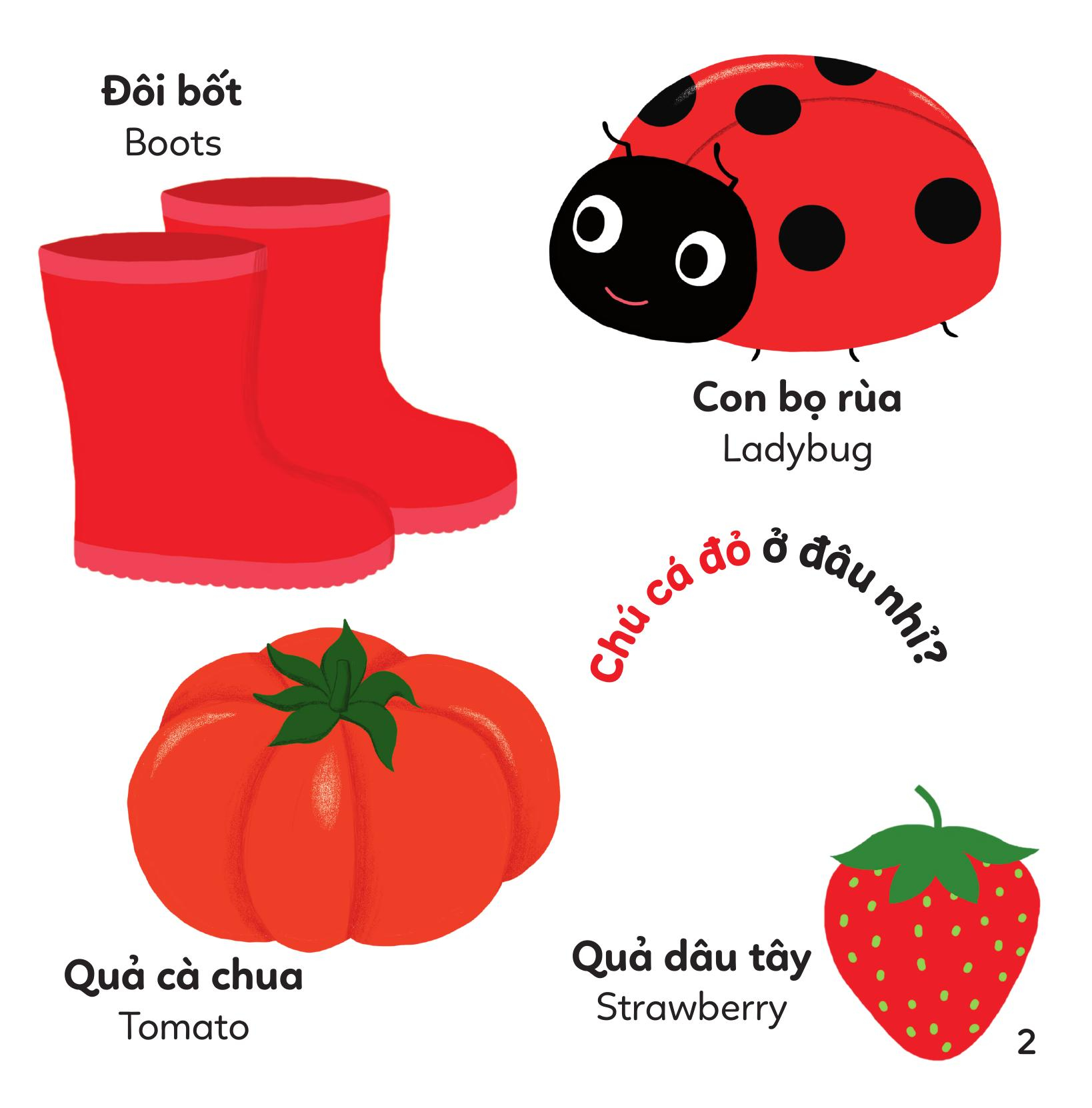 xoay xoay xoay đi tìm - màu sắc - bìa cứng - Ảnh 4