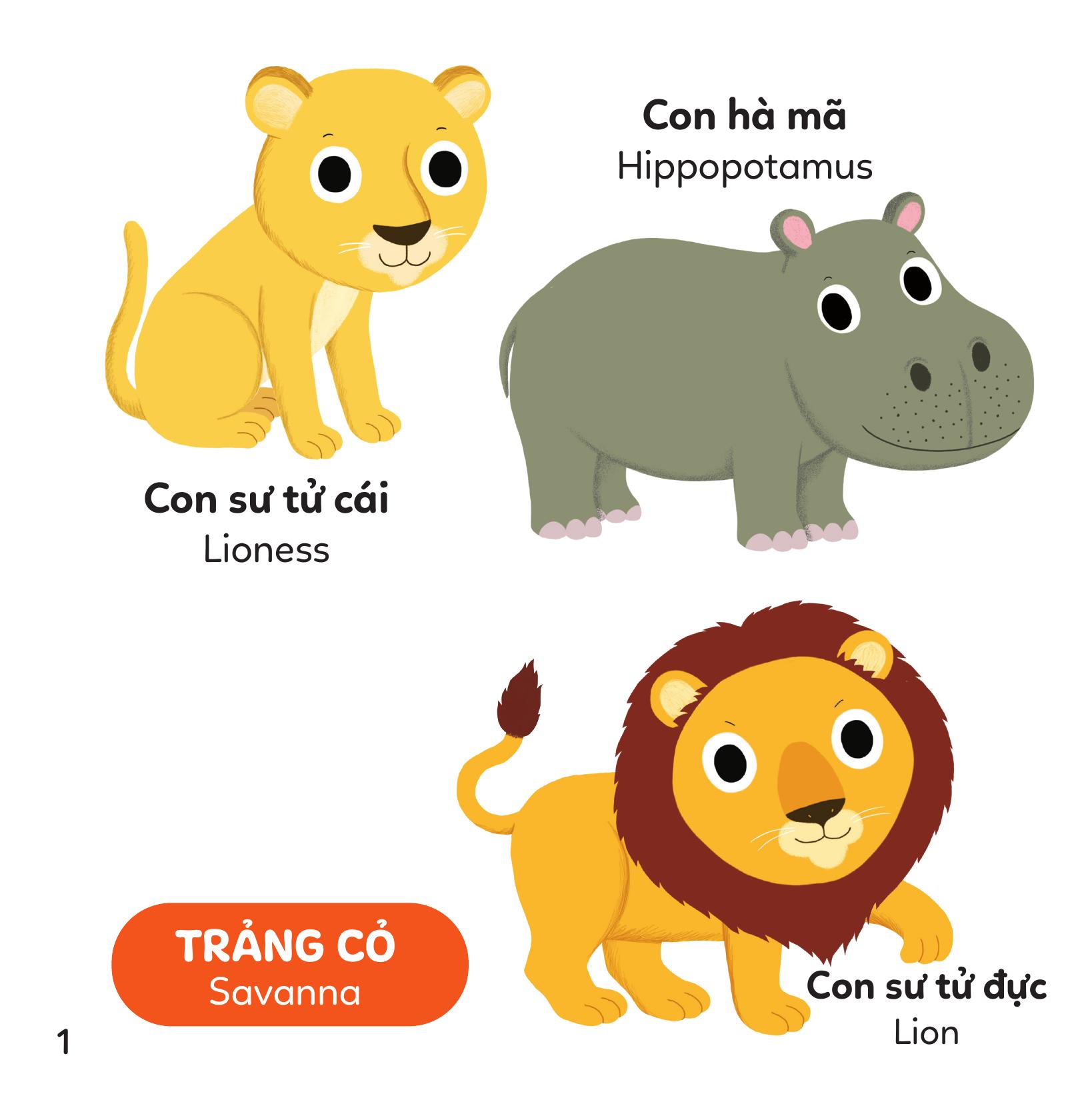 Xoay Xoay Xoay Đi Tìm - Vườn Thú - Bìa Cứng - Ảnh 3