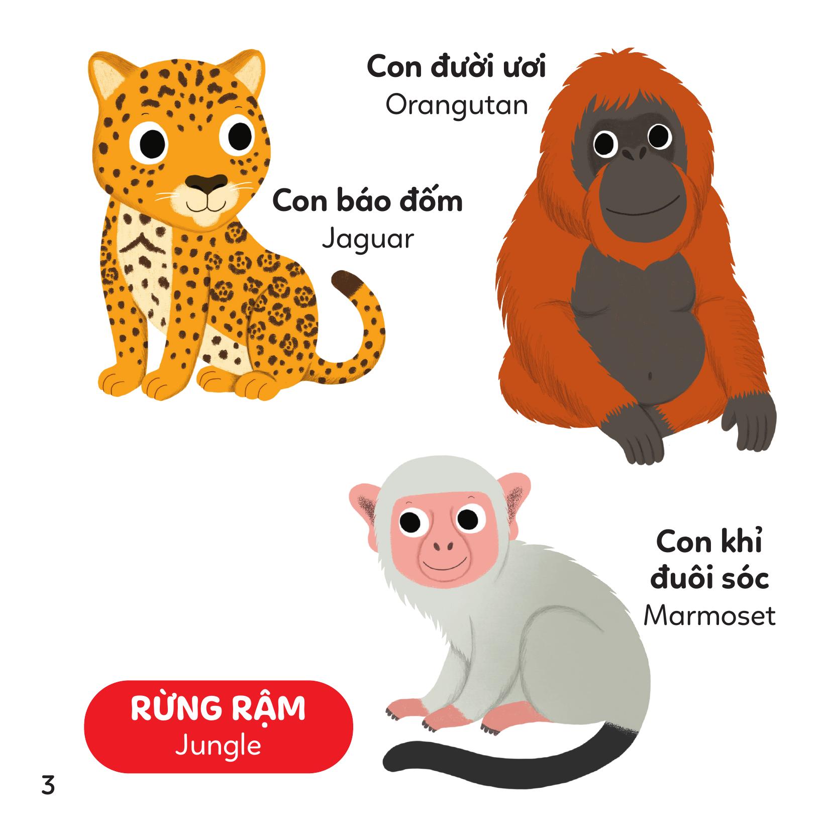 Xoay Xoay Xoay Đi Tìm - Vườn Thú - Bìa Cứng - Ảnh 5