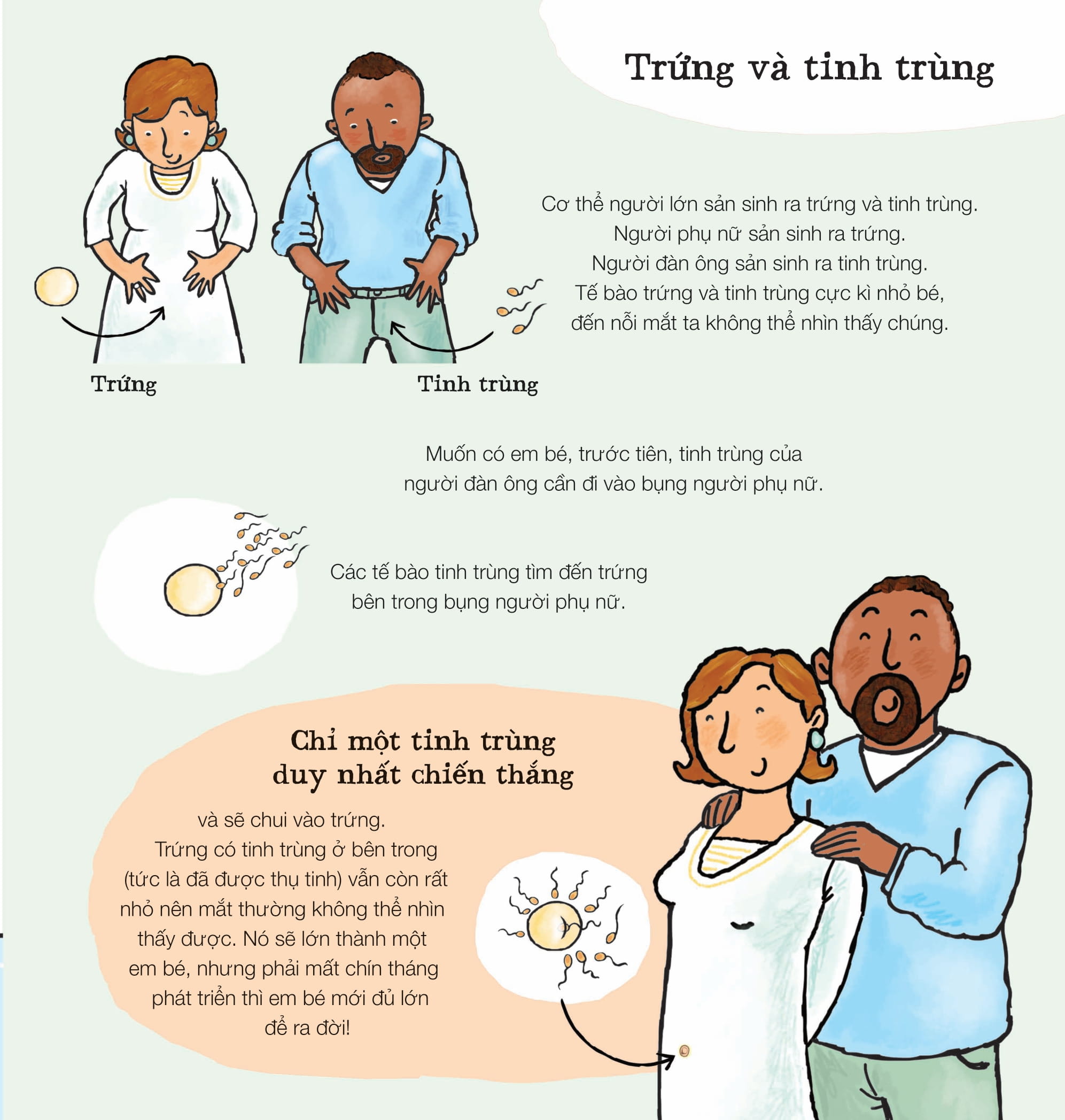 xôn xao đầu đời - em bé từ đâu đến - Ảnh 2