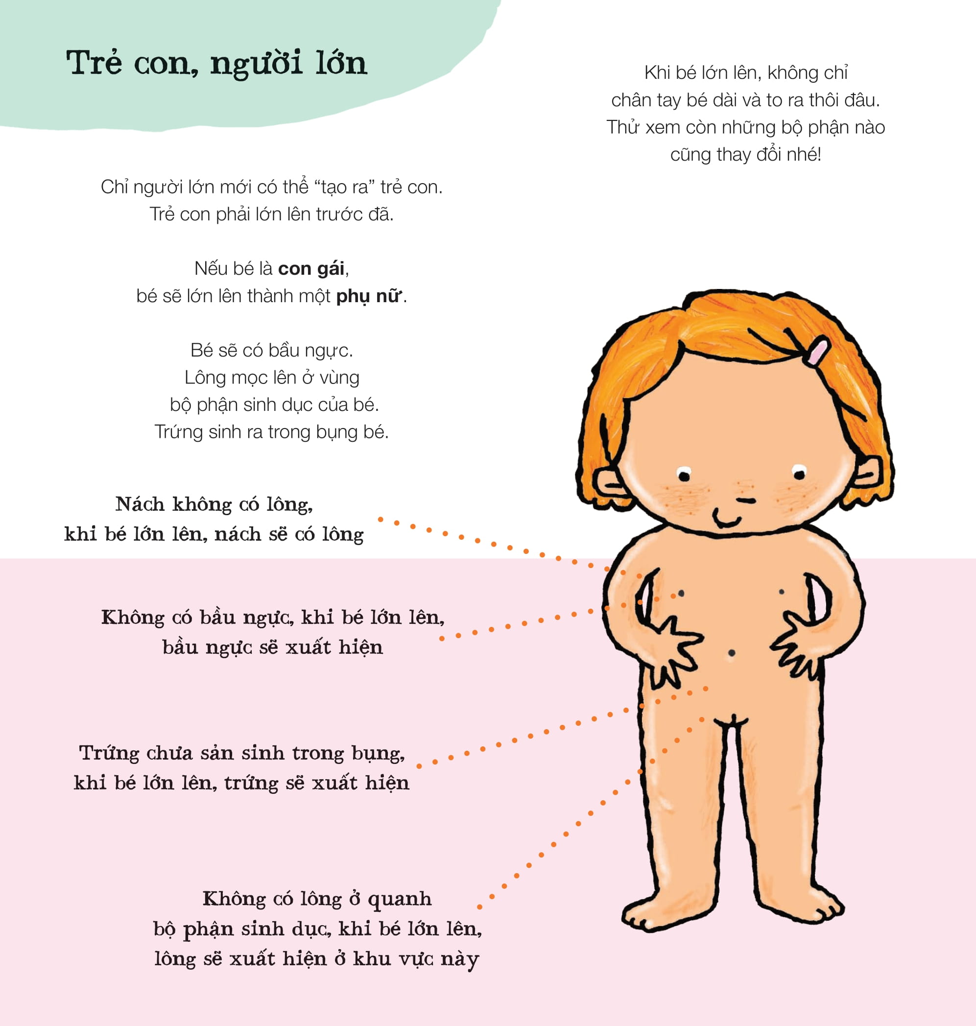 xôn xao đầu đời - em bé từ đâu đến - Ảnh 5