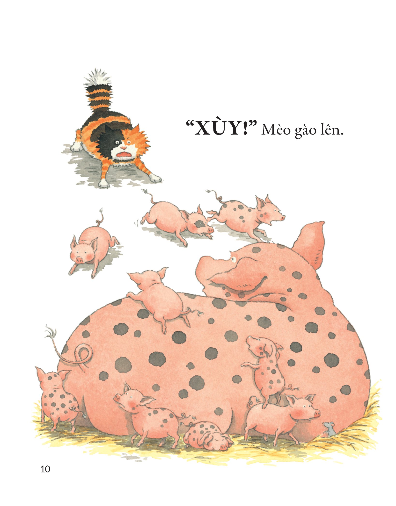 xùy xùy xùy! một mình, buồn quá đi! - Ảnh 7