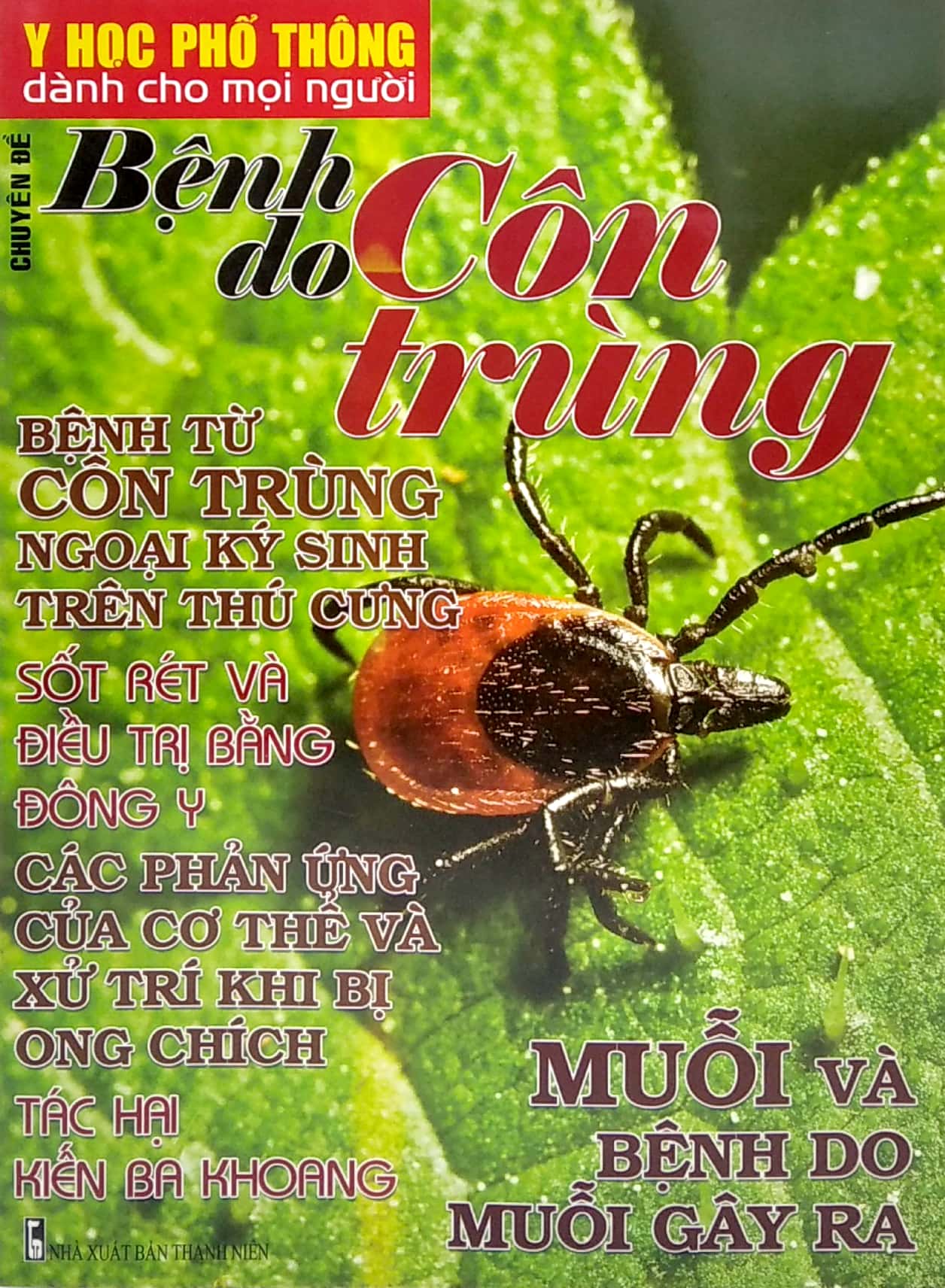 y học phổ thông dành cho mọi người - chuyên đề: bệnh do côn trùng - Ảnh 2