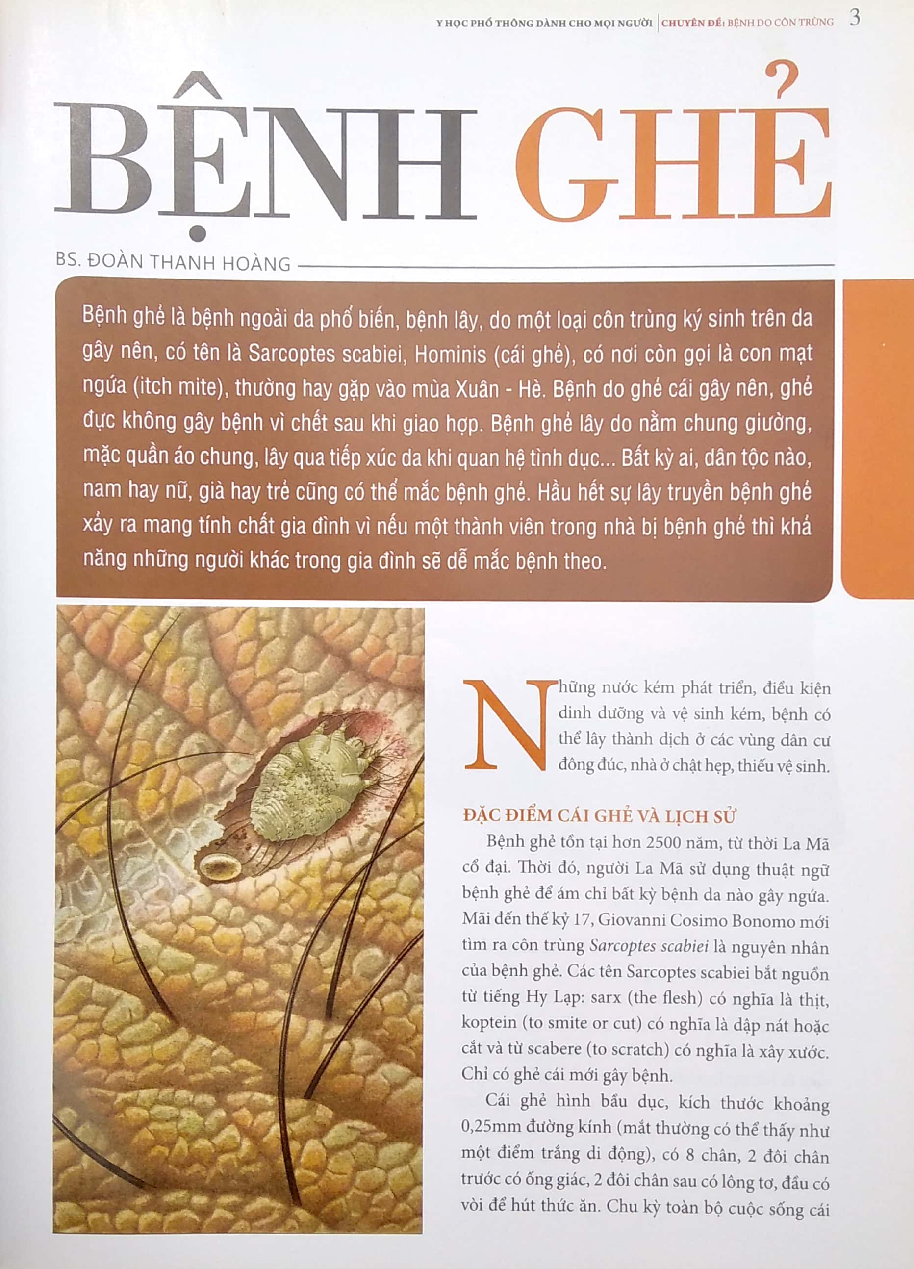 y học phổ thông dành cho mọi người - chuyên đề: bệnh do côn trùng - Ảnh 4