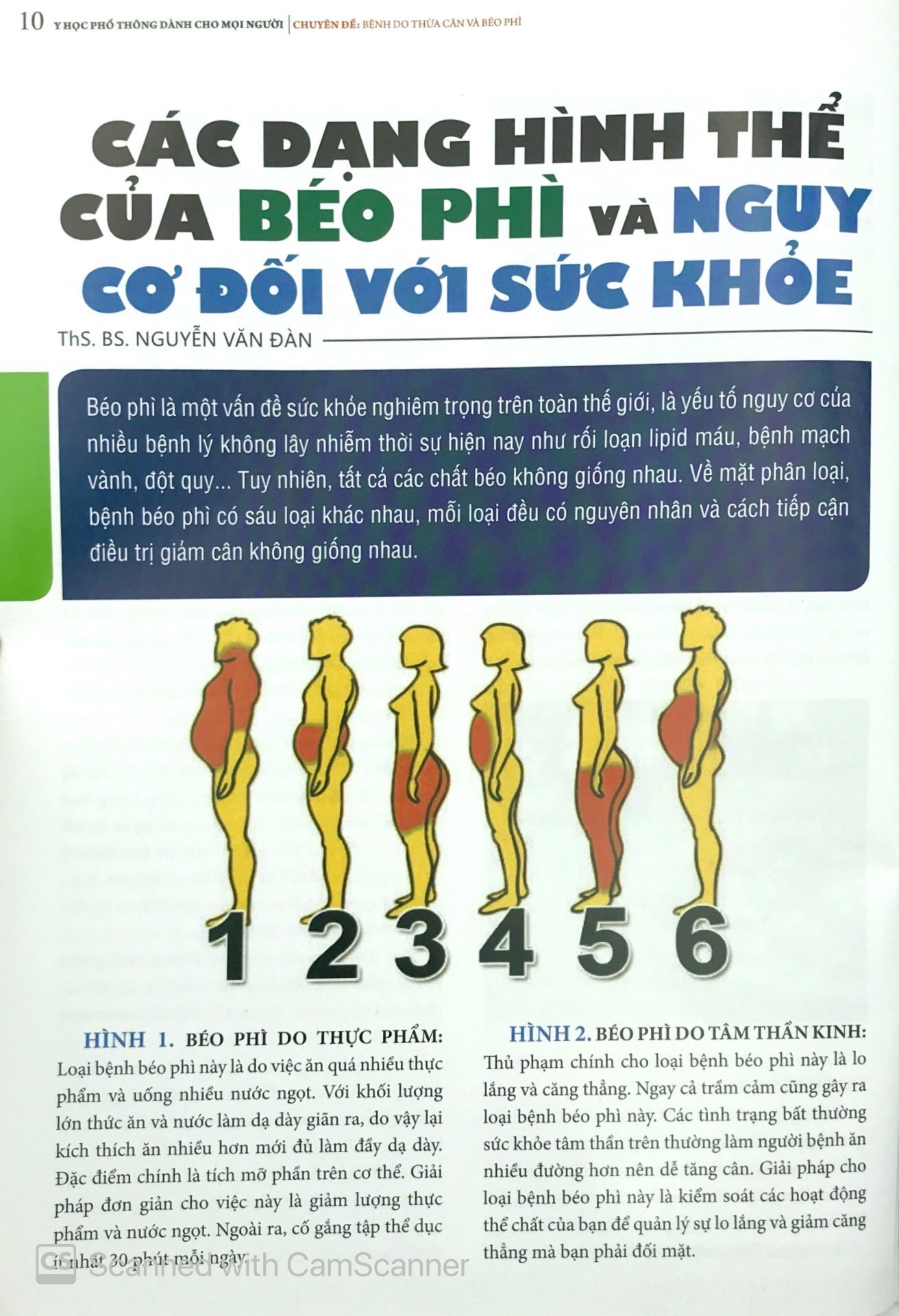 y học phổ thông dành cho mọi người - chuyên đề: bệnh do thừa cân và béo phì - Ảnh 10