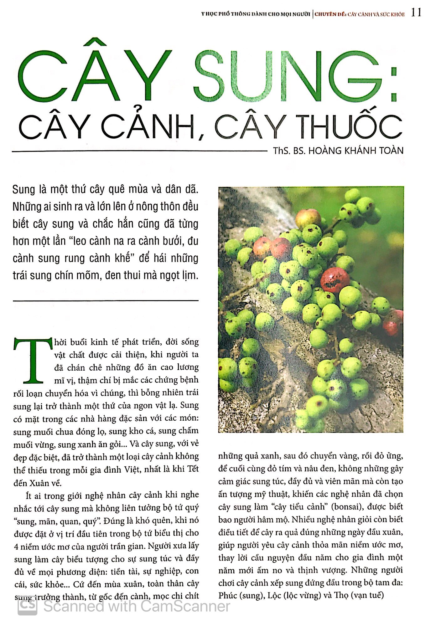 y học phổ thông dành cho mọi người - chuyên đề: cây cảnh và sức khỏe - Ảnh 11