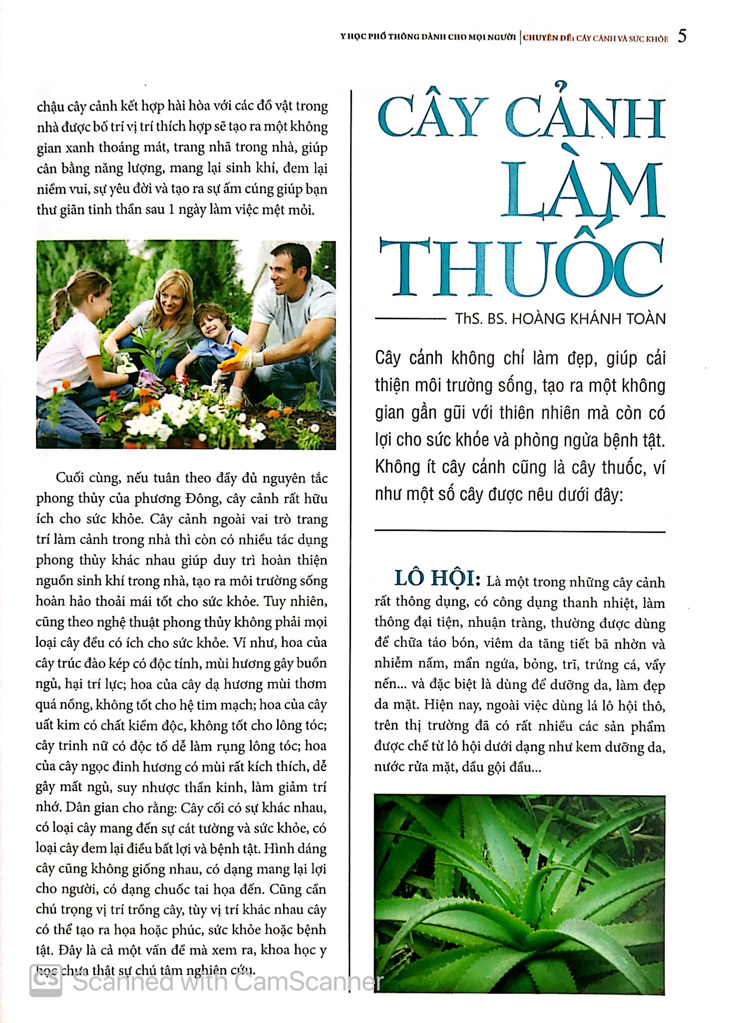 y học phổ thông dành cho mọi người - chuyên đề: cây cảnh và sức khỏe - Ảnh 5