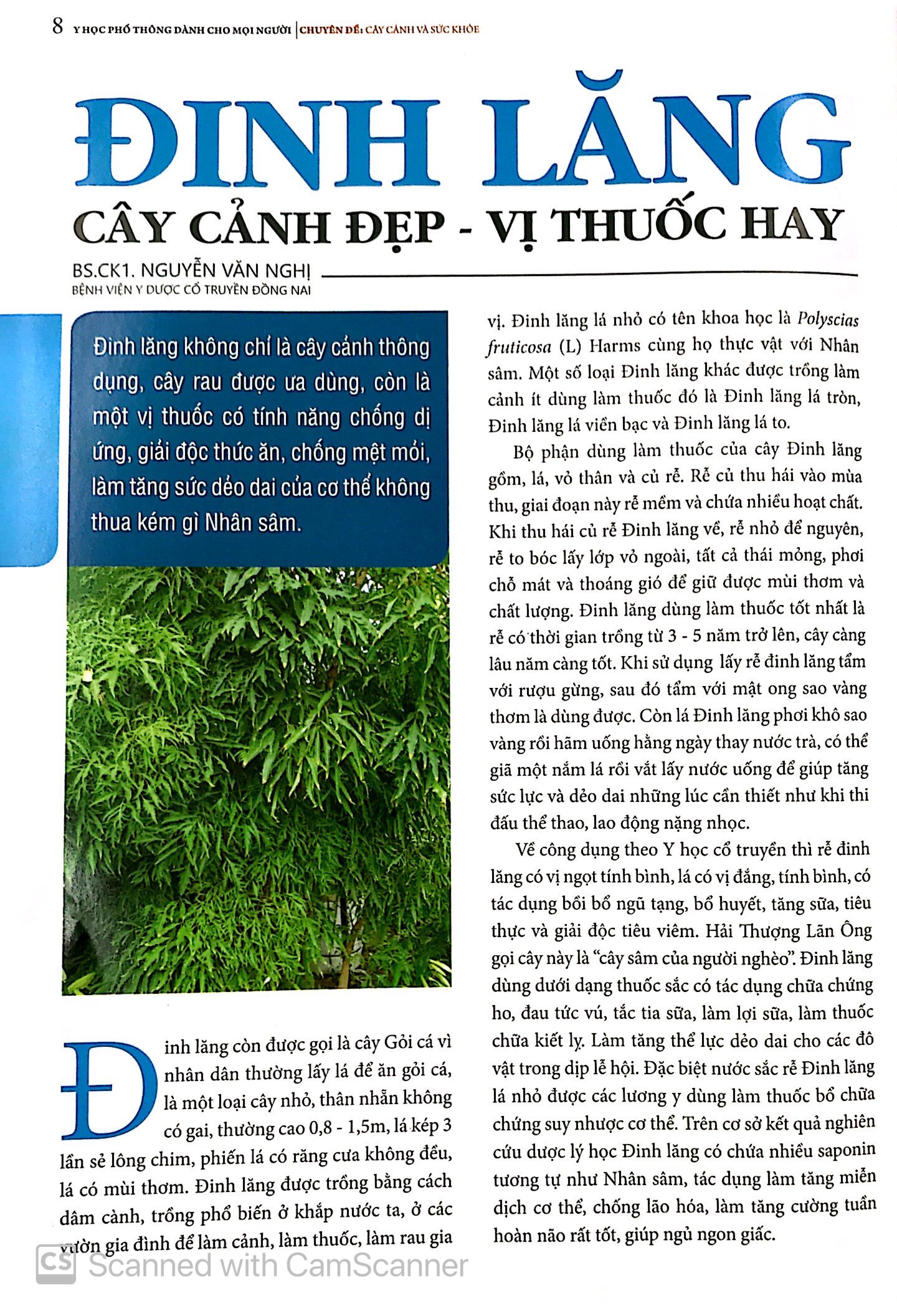 y học phổ thông dành cho mọi người - chuyên đề: cây cảnh và sức khỏe - Ảnh 8