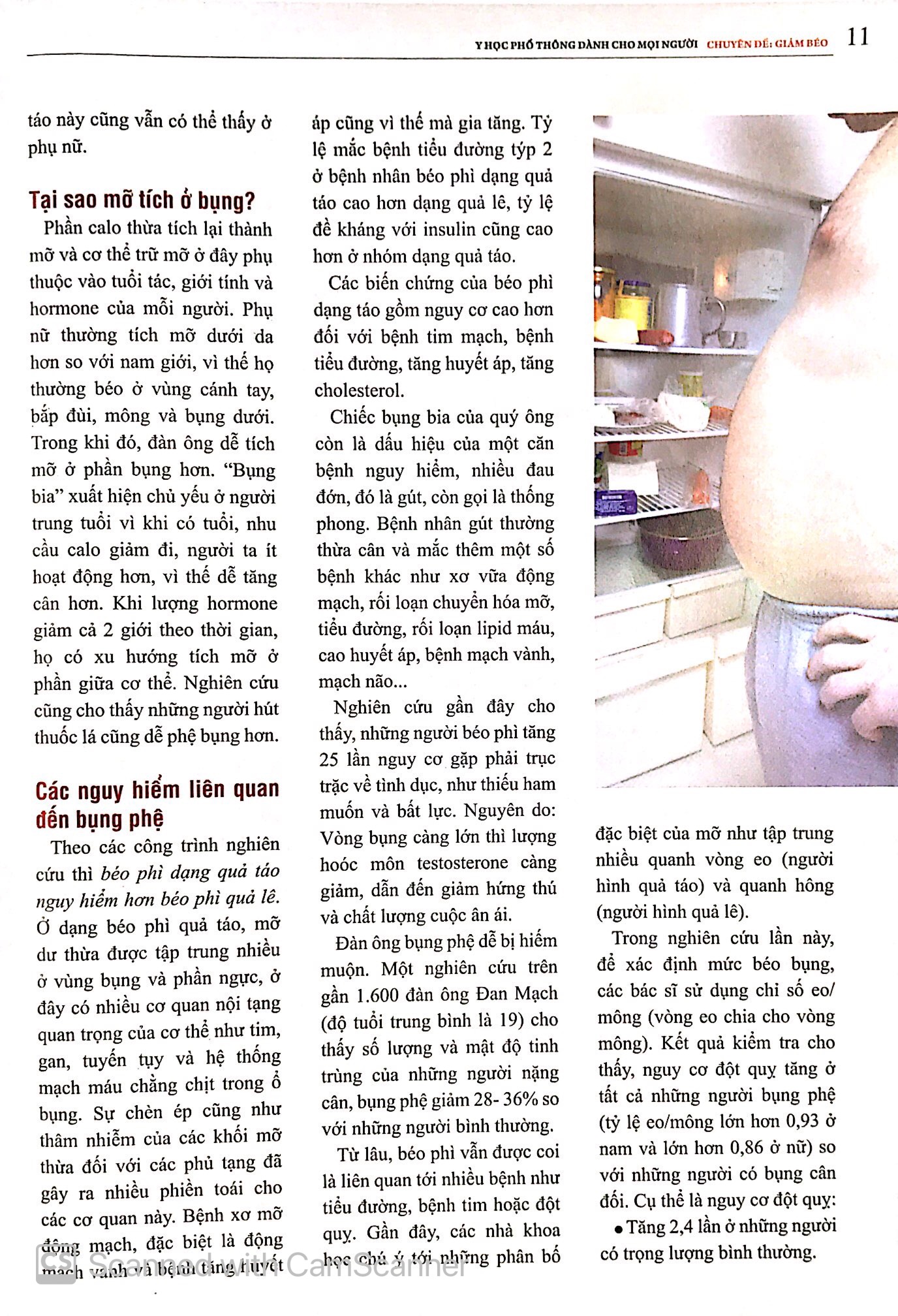 y học phổ thông dành cho mọi người - chuyên đề: giảm béo - Ảnh 11