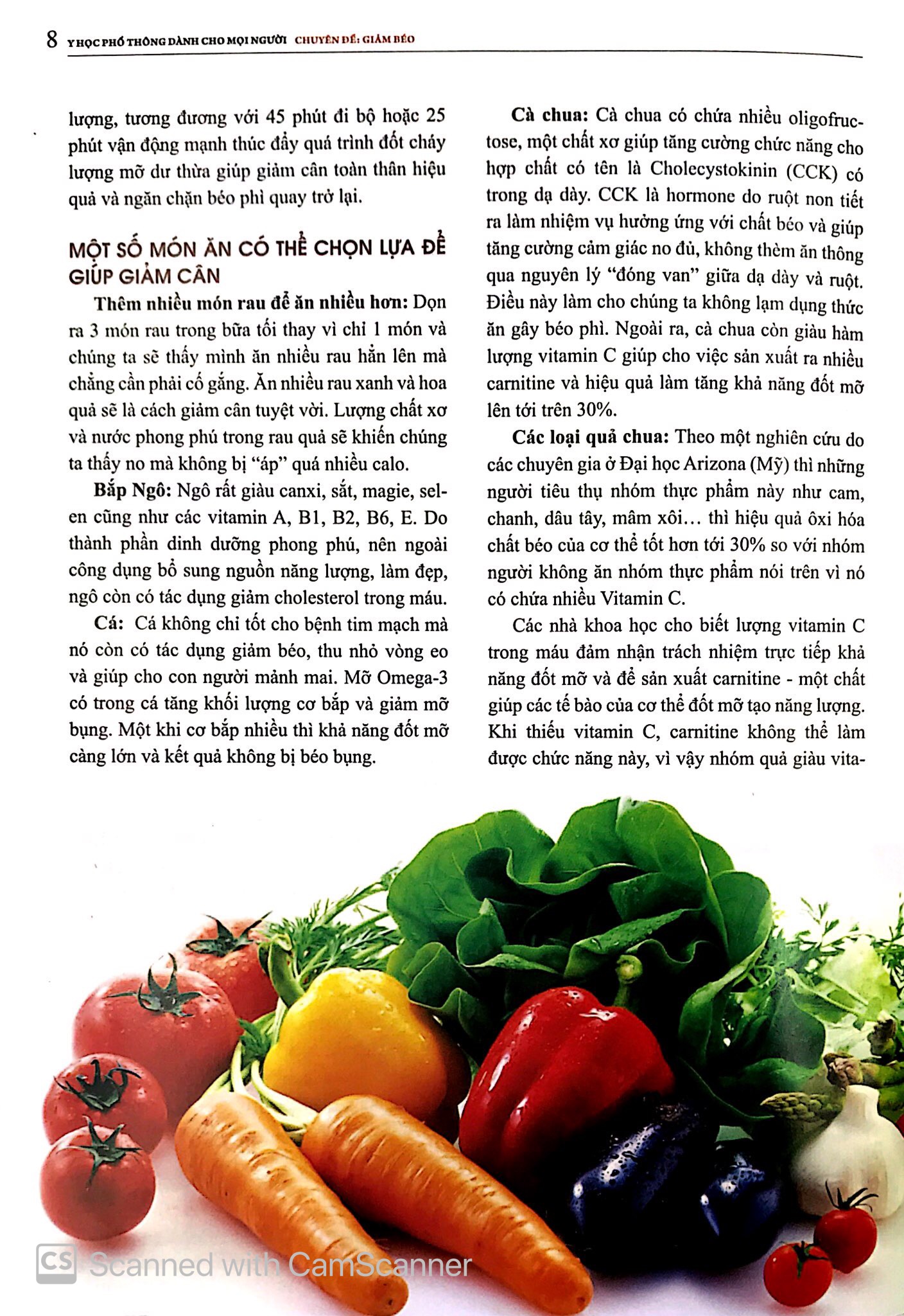 y học phổ thông dành cho mọi người - chuyên đề: giảm béo - Ảnh 8