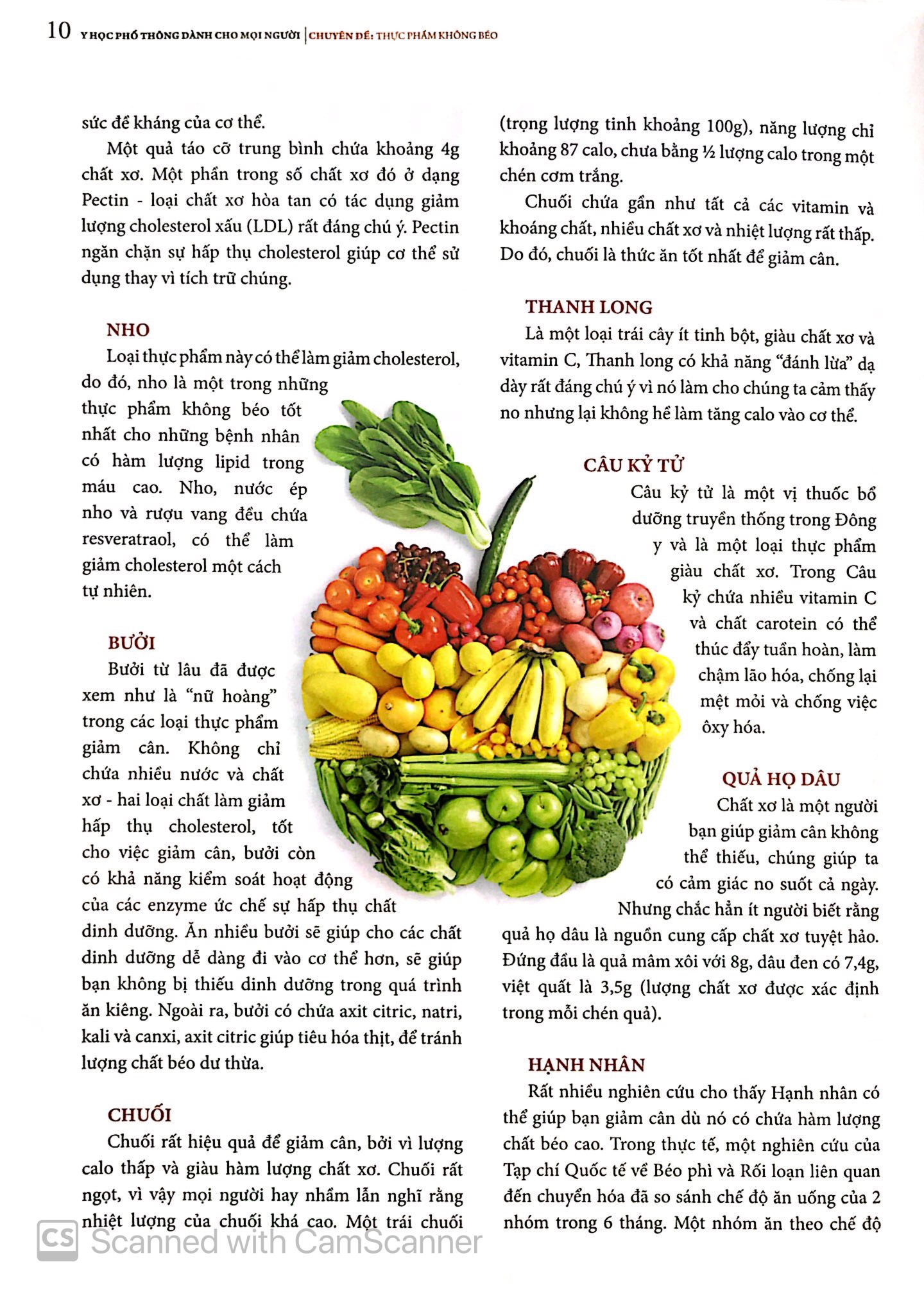 y học phổ thông dành cho mọi người - chuyên đề: thực phẩm không béo - Ảnh 10