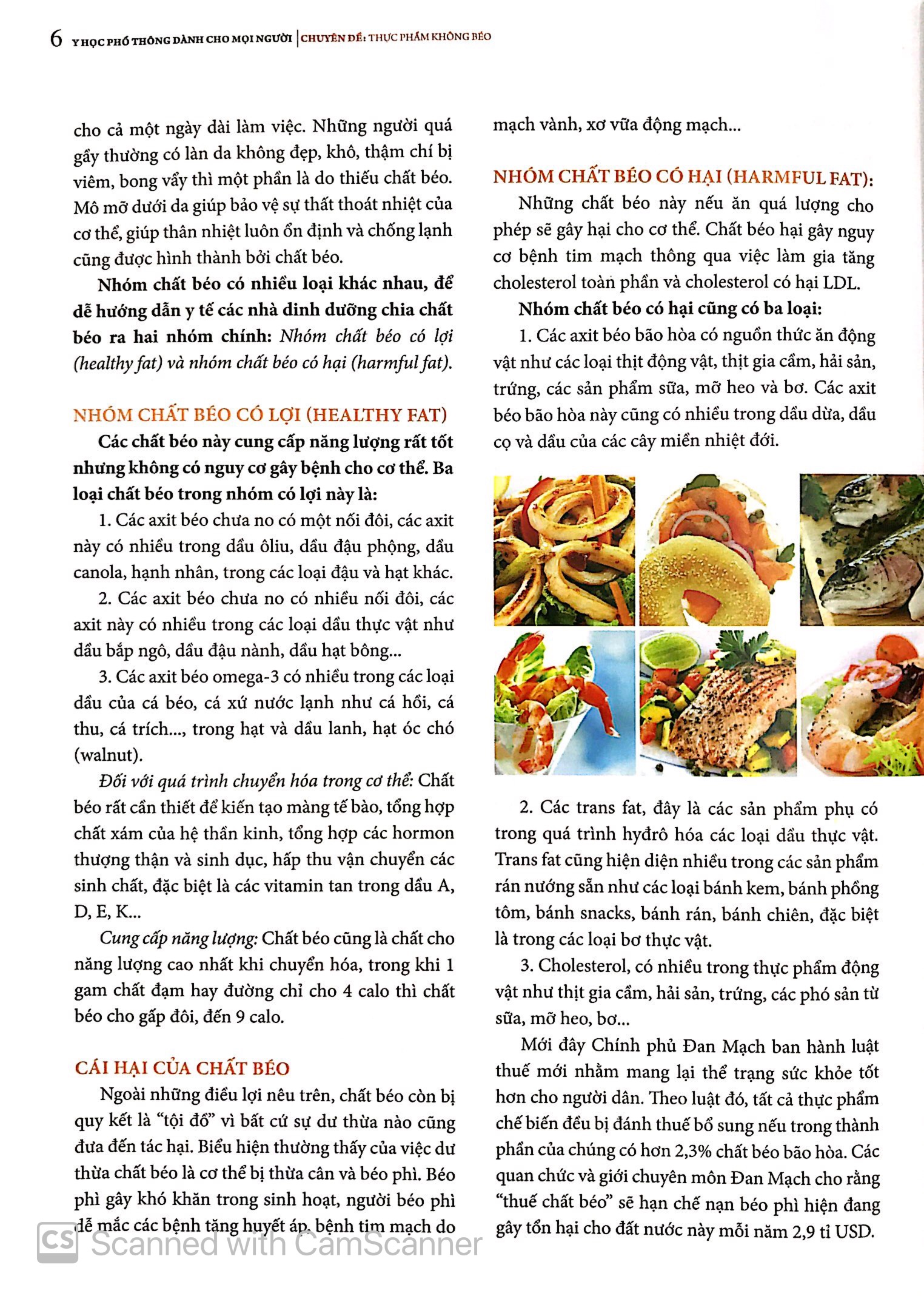 y học phổ thông dành cho mọi người - chuyên đề: thực phẩm không béo - Ảnh 6