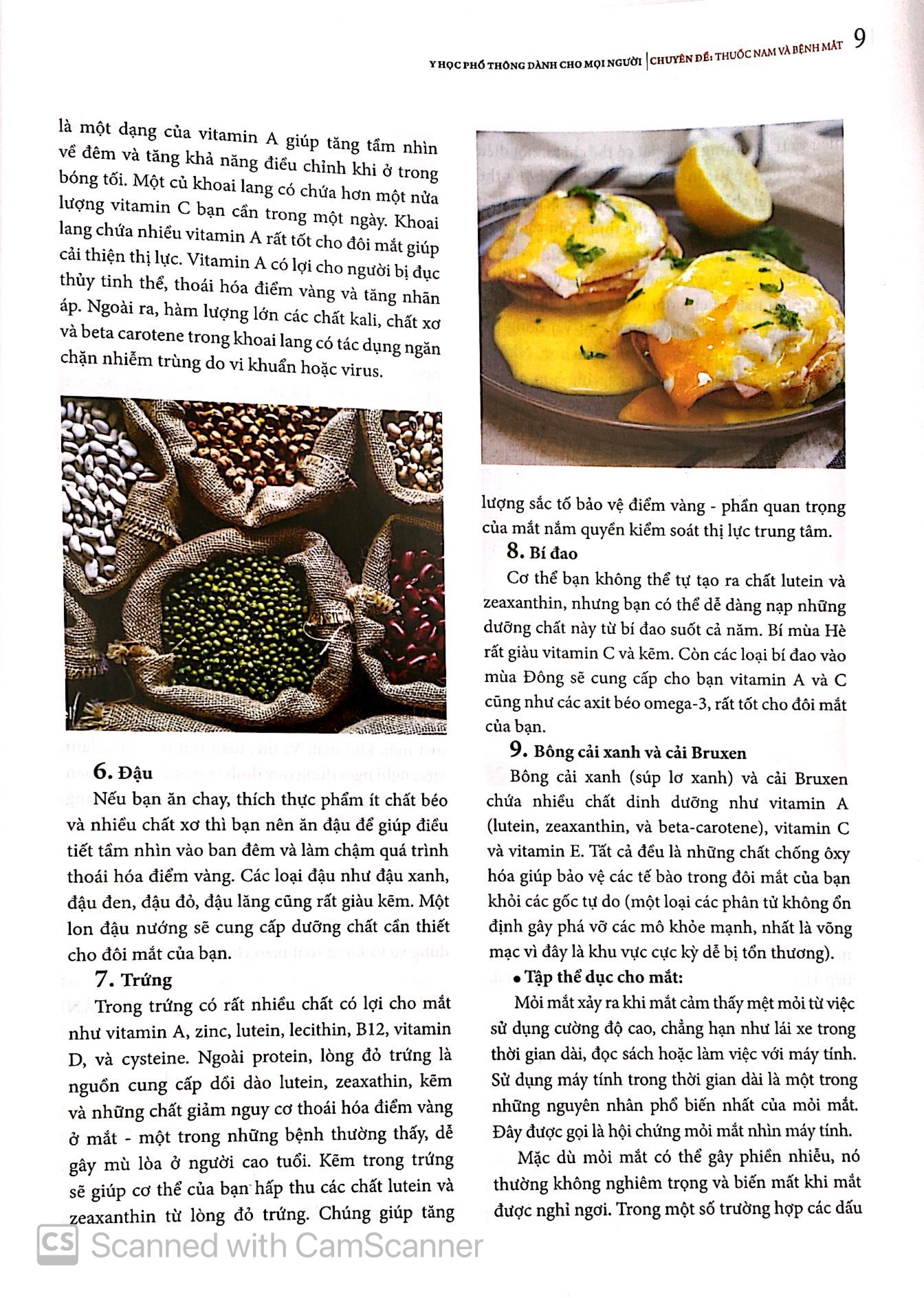 y học phổ thông dành cho mọi người - chuyên đề: thuốc nam và bệnh mắt - Ảnh 10