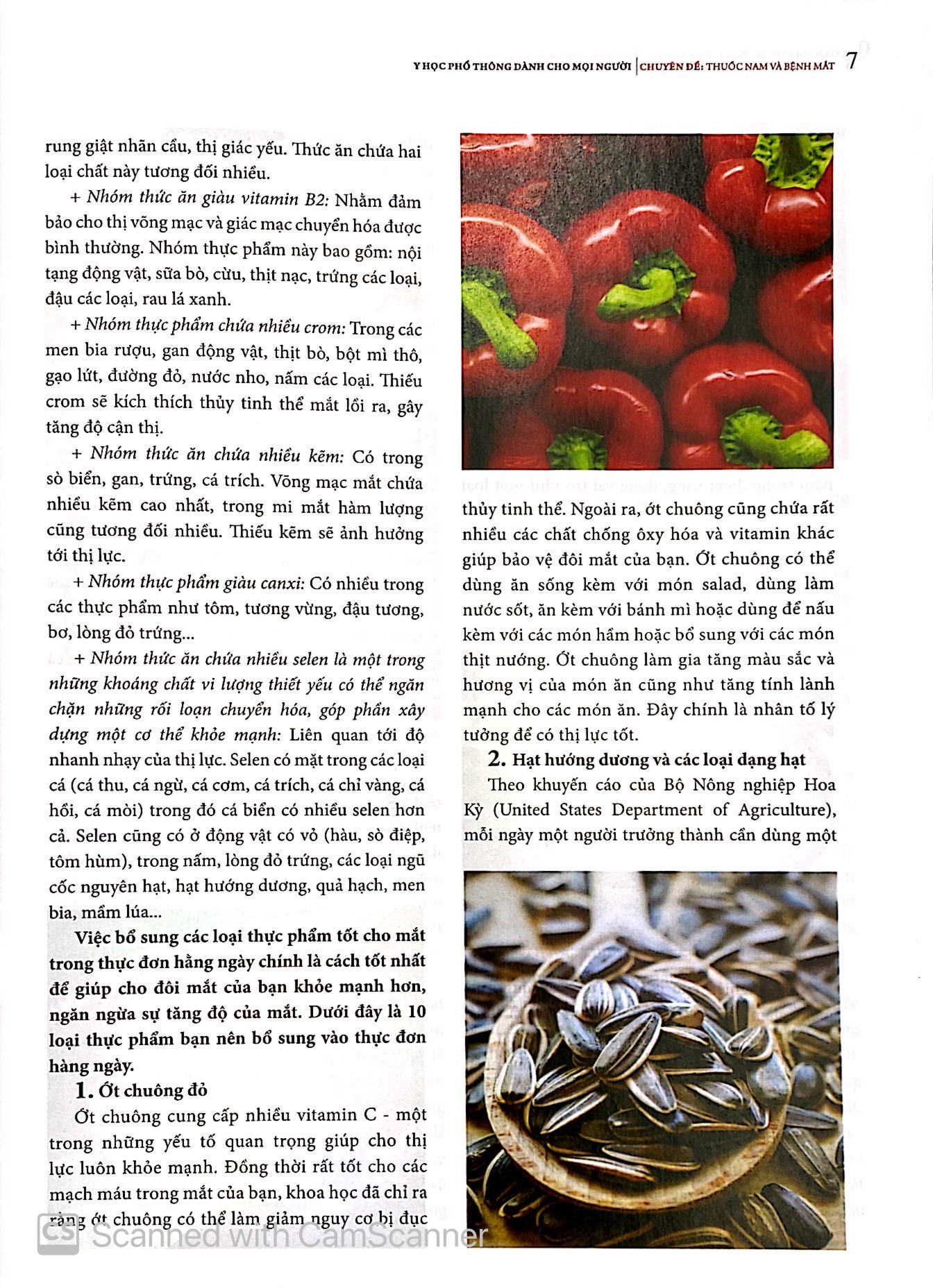 y học phổ thông dành cho mọi người - chuyên đề: thuốc nam và bệnh mắt - Ảnh 8