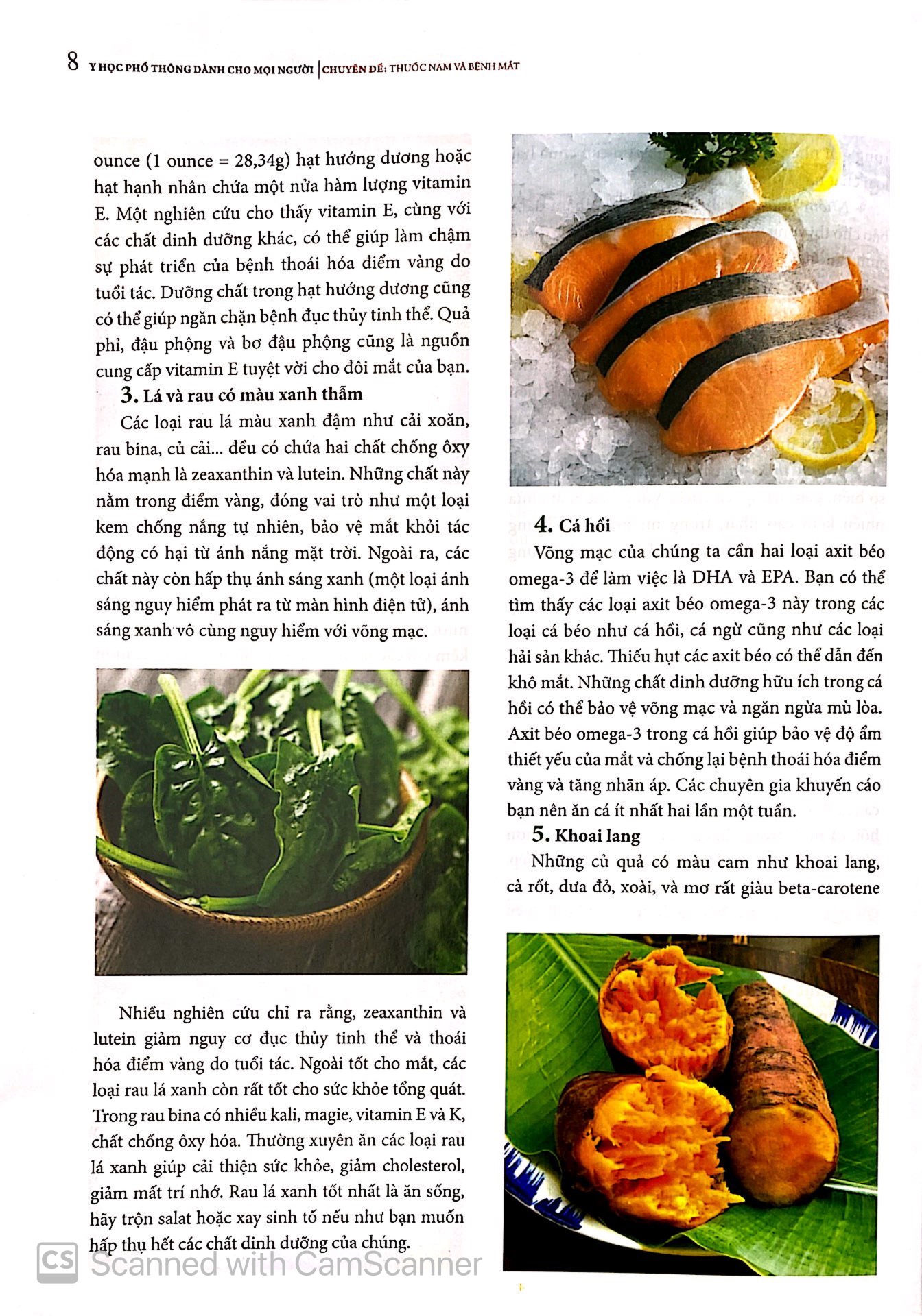 y học phổ thông dành cho mọi người - chuyên đề: thuốc nam và bệnh mắt - Ảnh 9