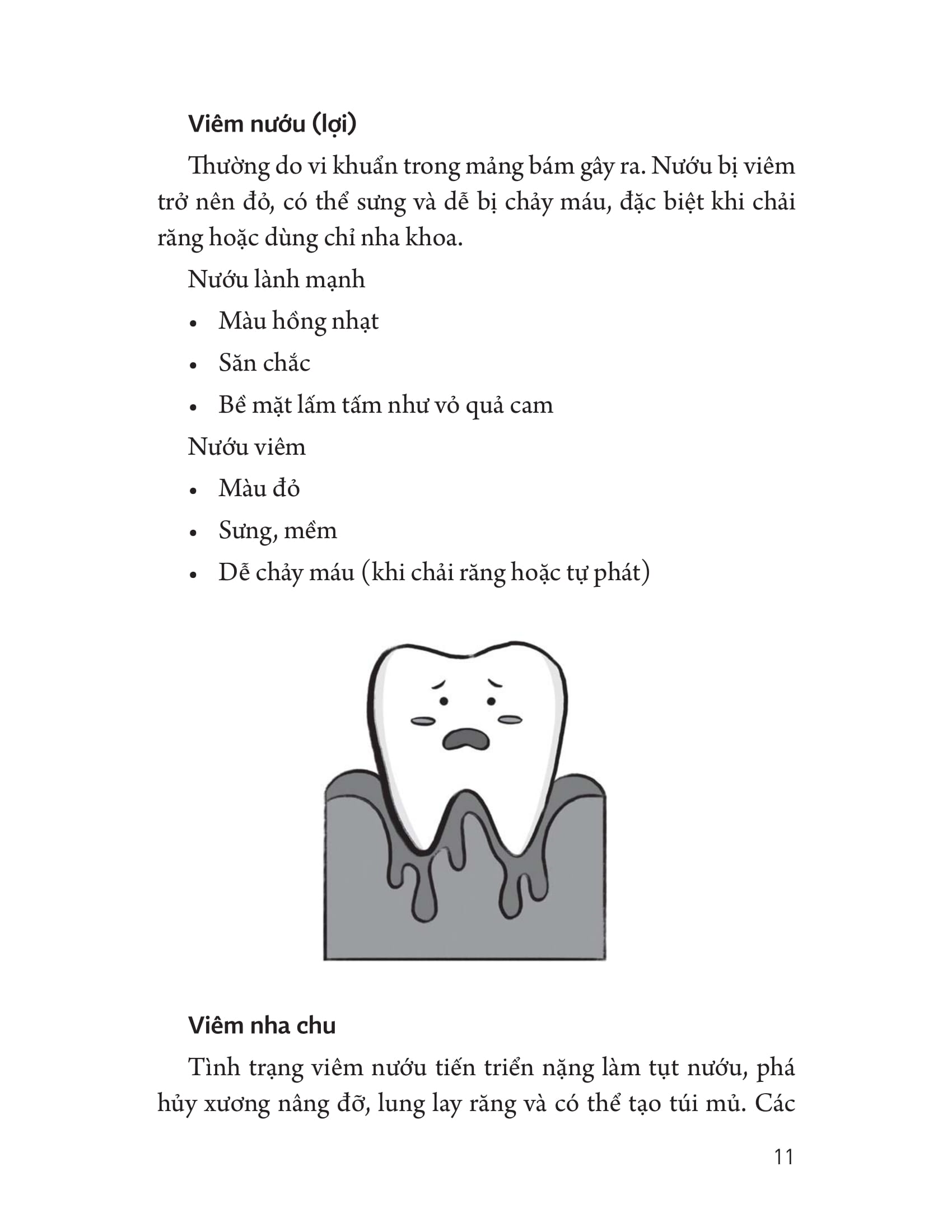 y học và sức khỏe - sống khỏe từ a đến z - chăm sóc răng miệng - Ảnh 10