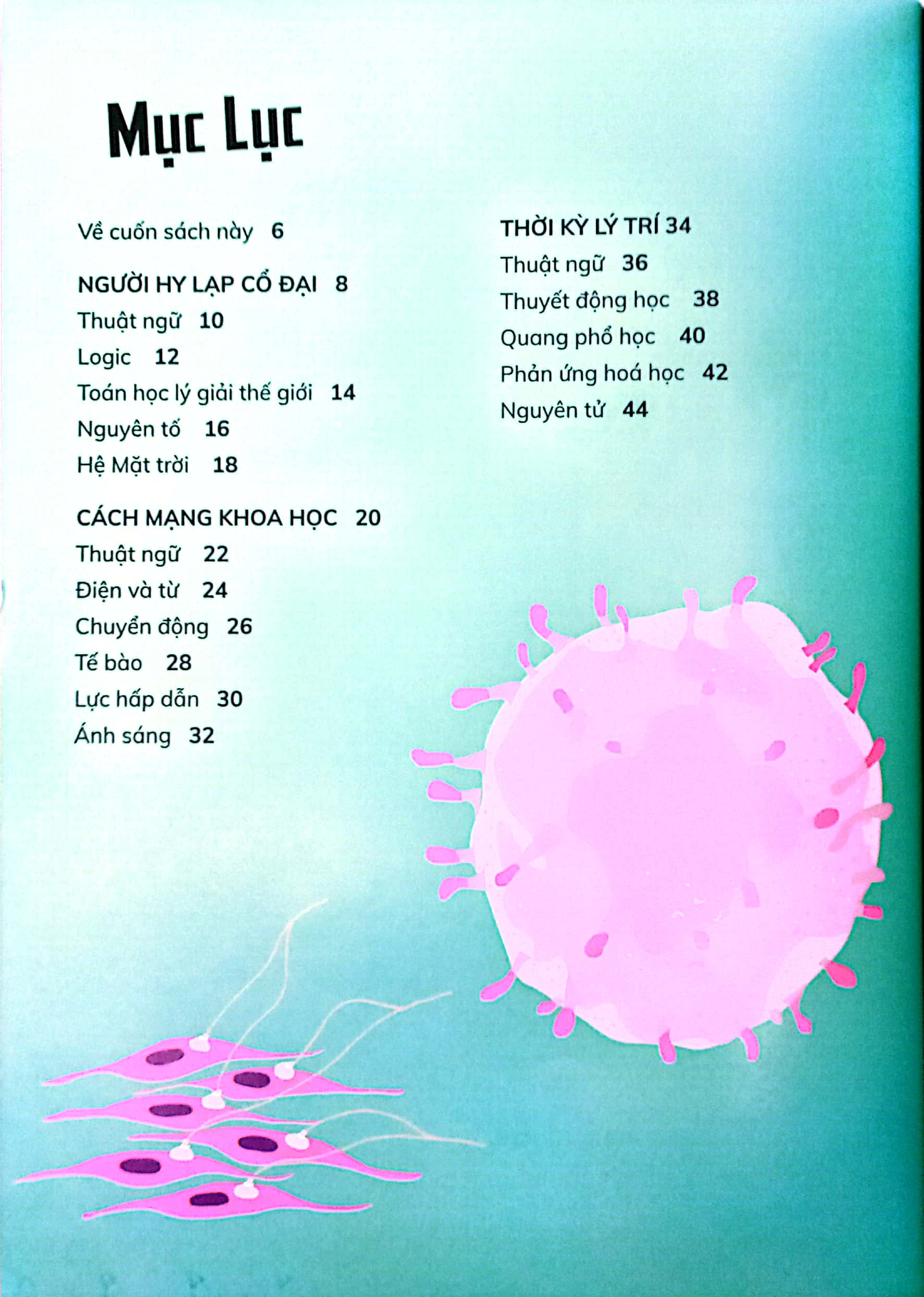 ý tưởng khoa học - trong 30 giây - Ảnh 3