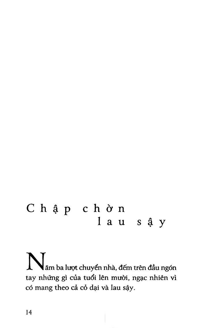 yêu người ngóng núi - Ảnh 13