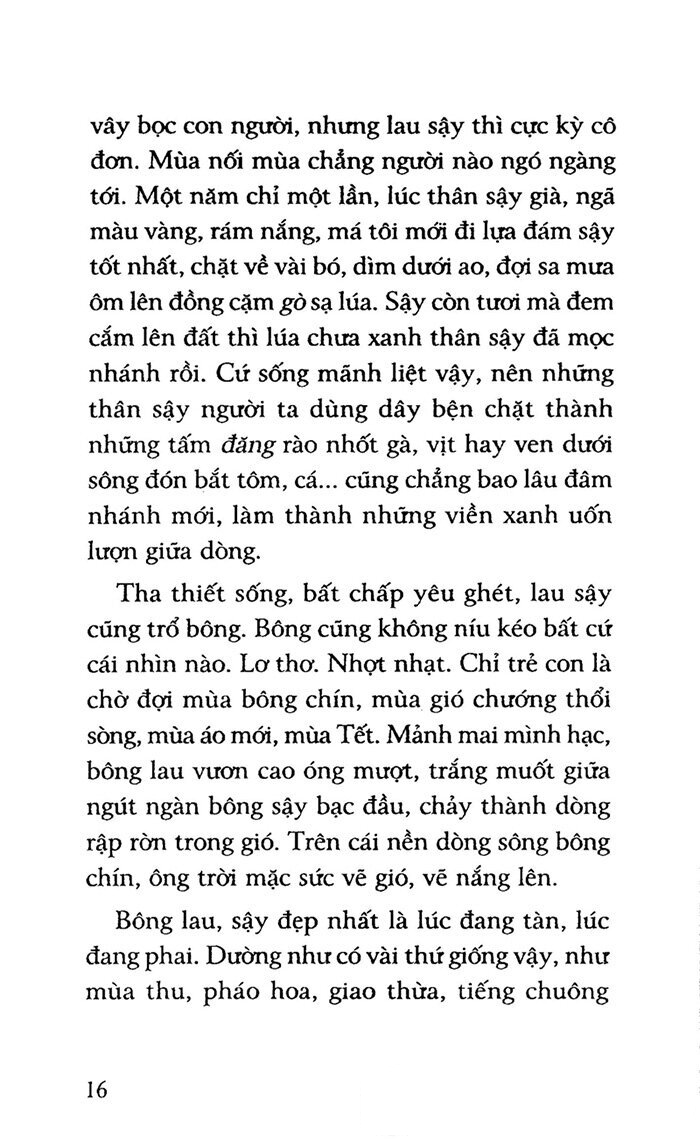 yêu người ngóng núi - Ảnh 15