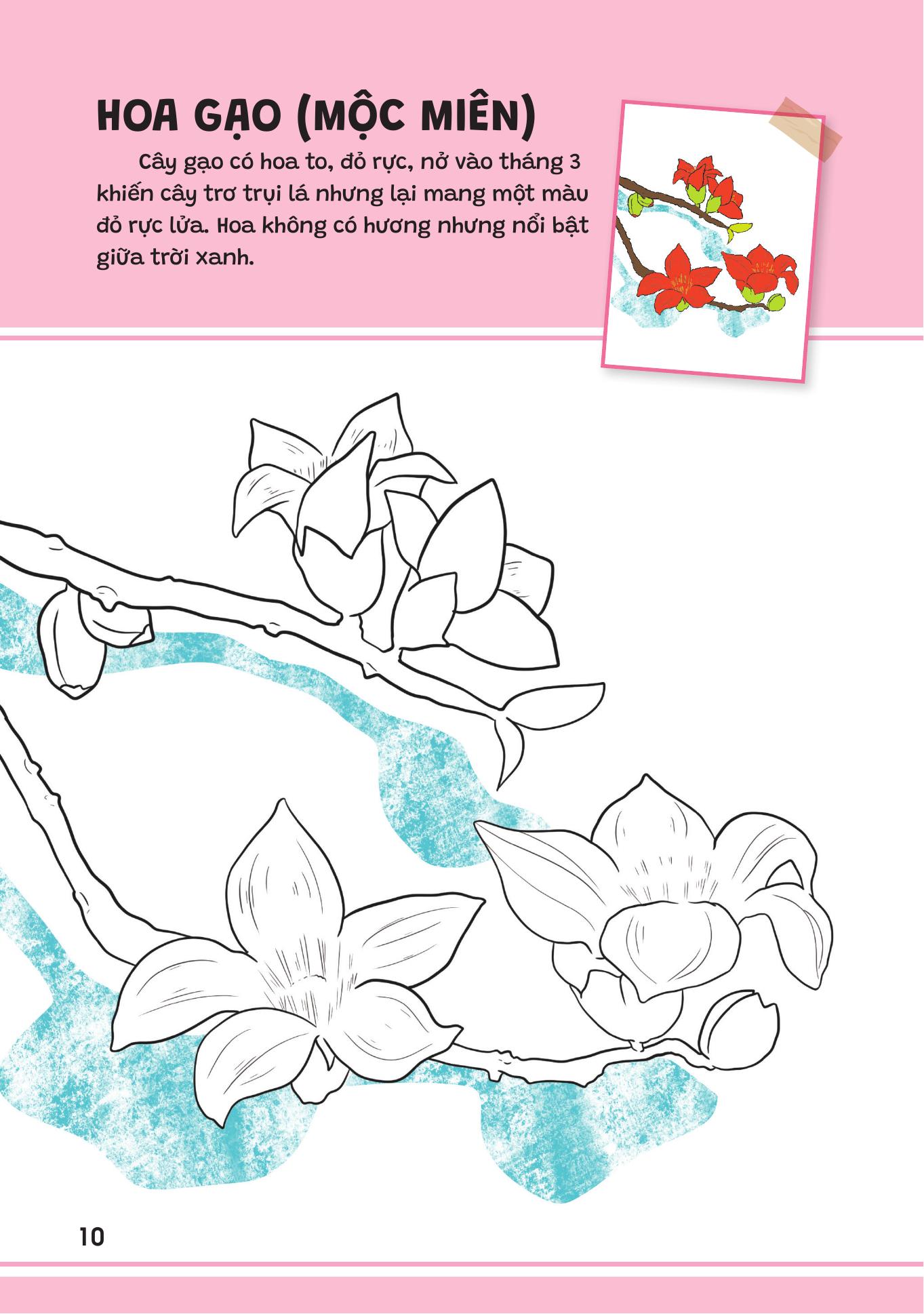 Yêu Quá Việt Nam - Các Loài Hoa - Ảnh 10