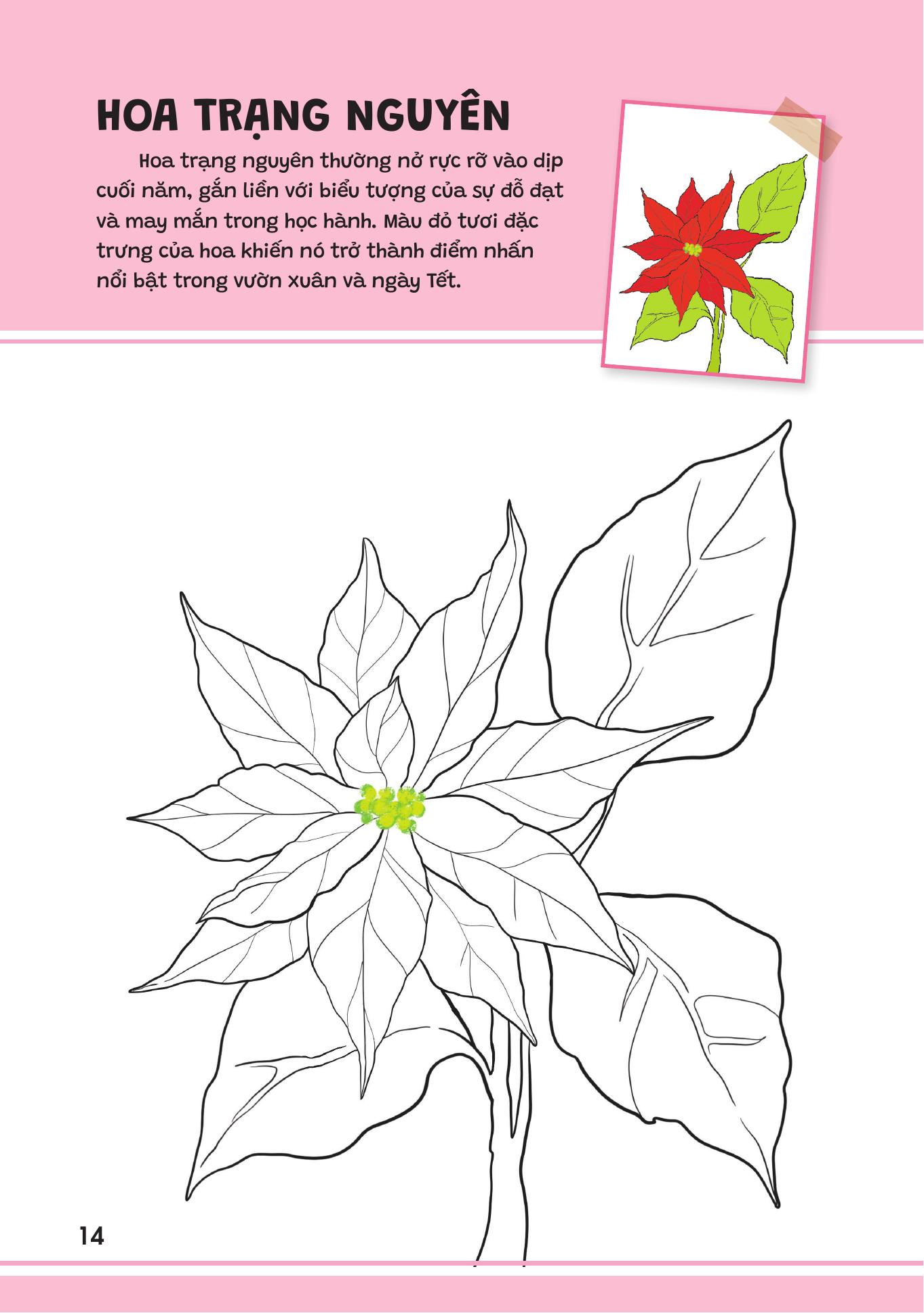 Yêu Quá Việt Nam - Các Loài Hoa - Ảnh 14