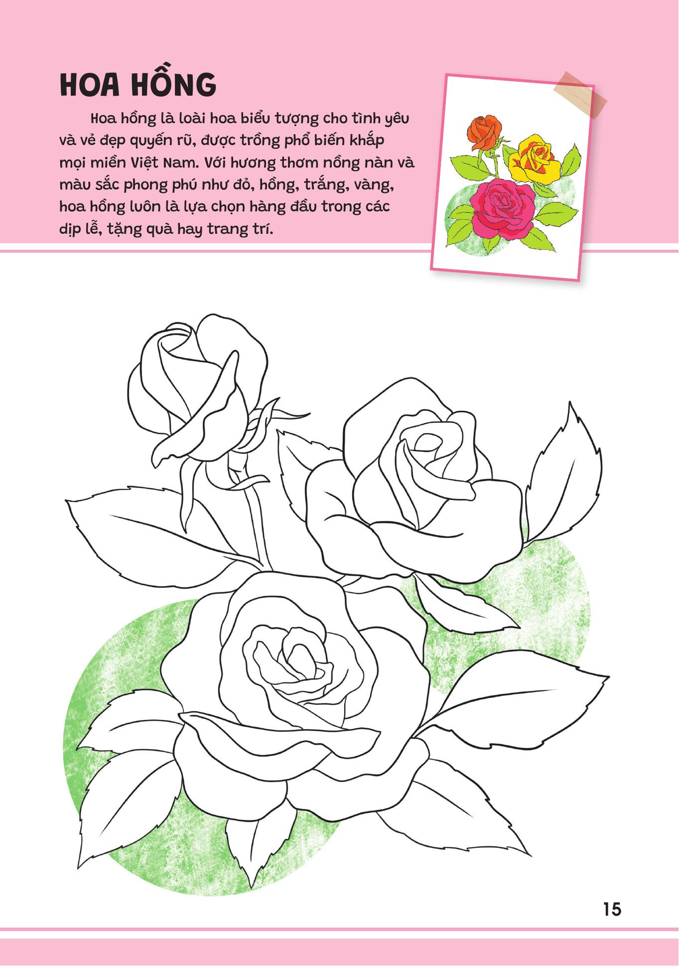 Yêu Quá Việt Nam - Các Loài Hoa - Ảnh 15