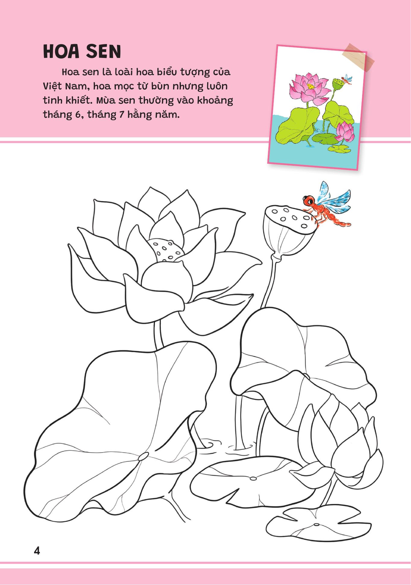 Yêu Quá Việt Nam - Các Loài Hoa - Ảnh 4