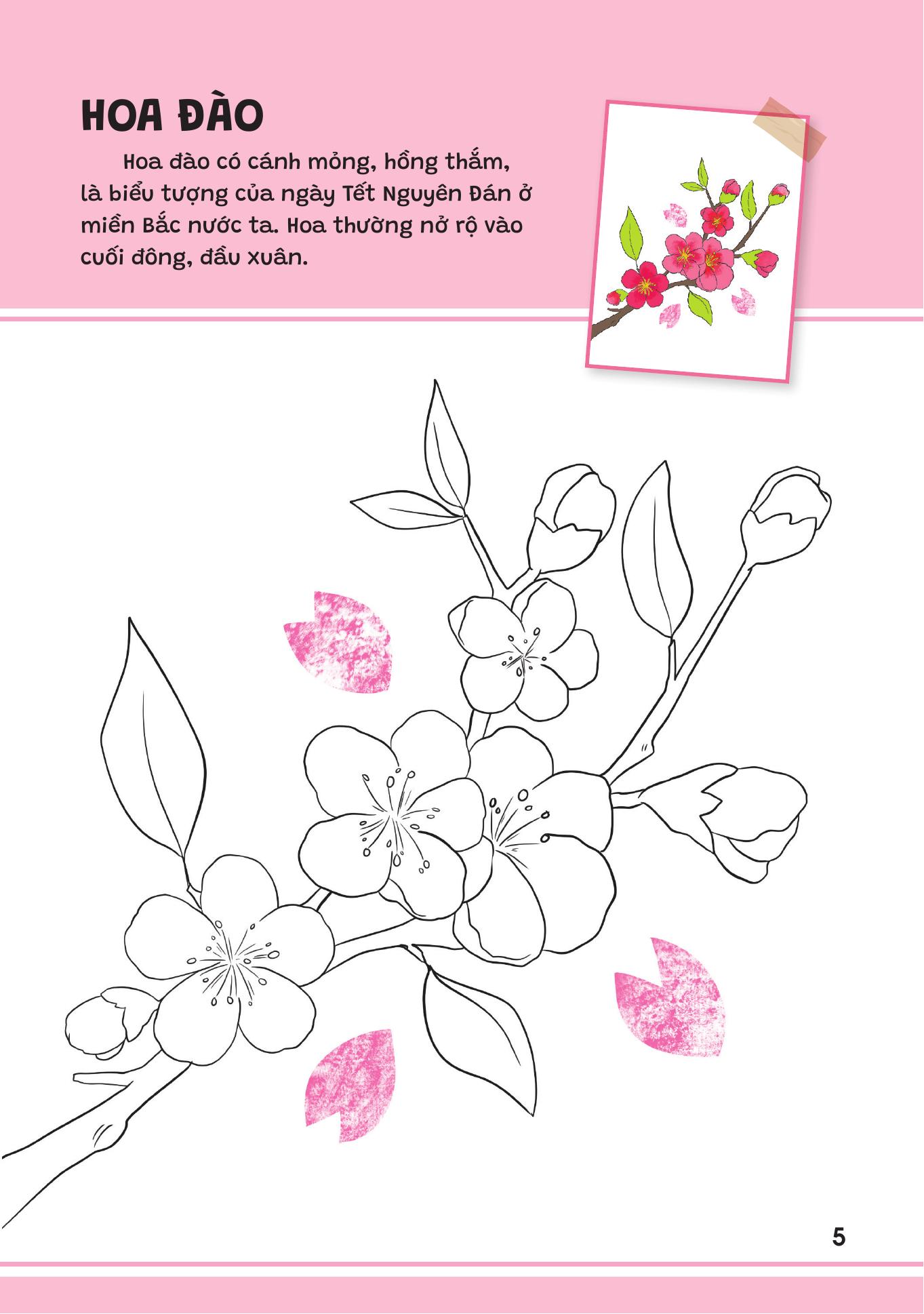 Yêu Quá Việt Nam - Các Loài Hoa - Ảnh 5