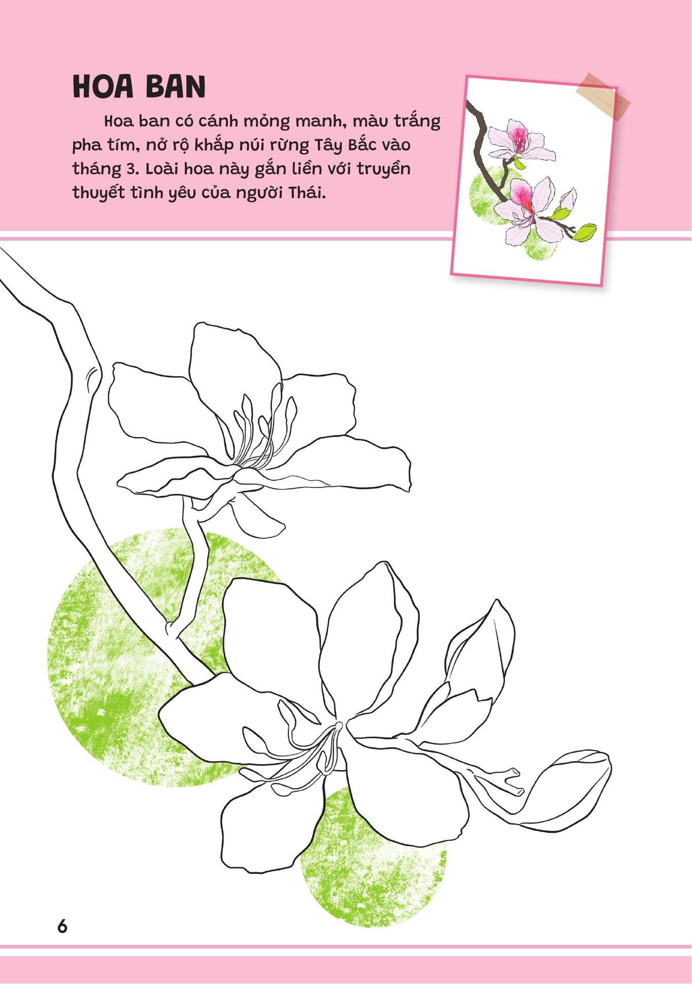 Yêu Quá Việt Nam - Các Loài Hoa - Ảnh 6