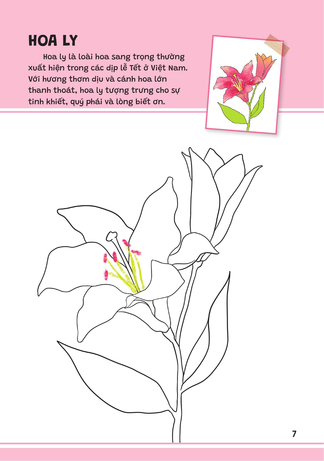 Yêu Quá Việt Nam - Các Loài Hoa - Ảnh 7