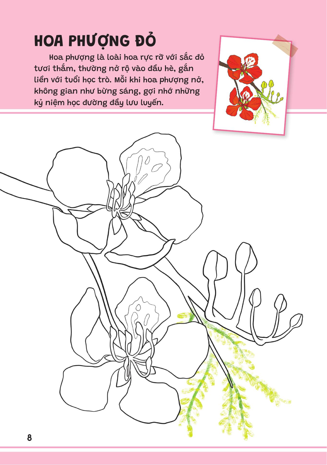 Yêu Quá Việt Nam - Các Loài Hoa - Ảnh 8