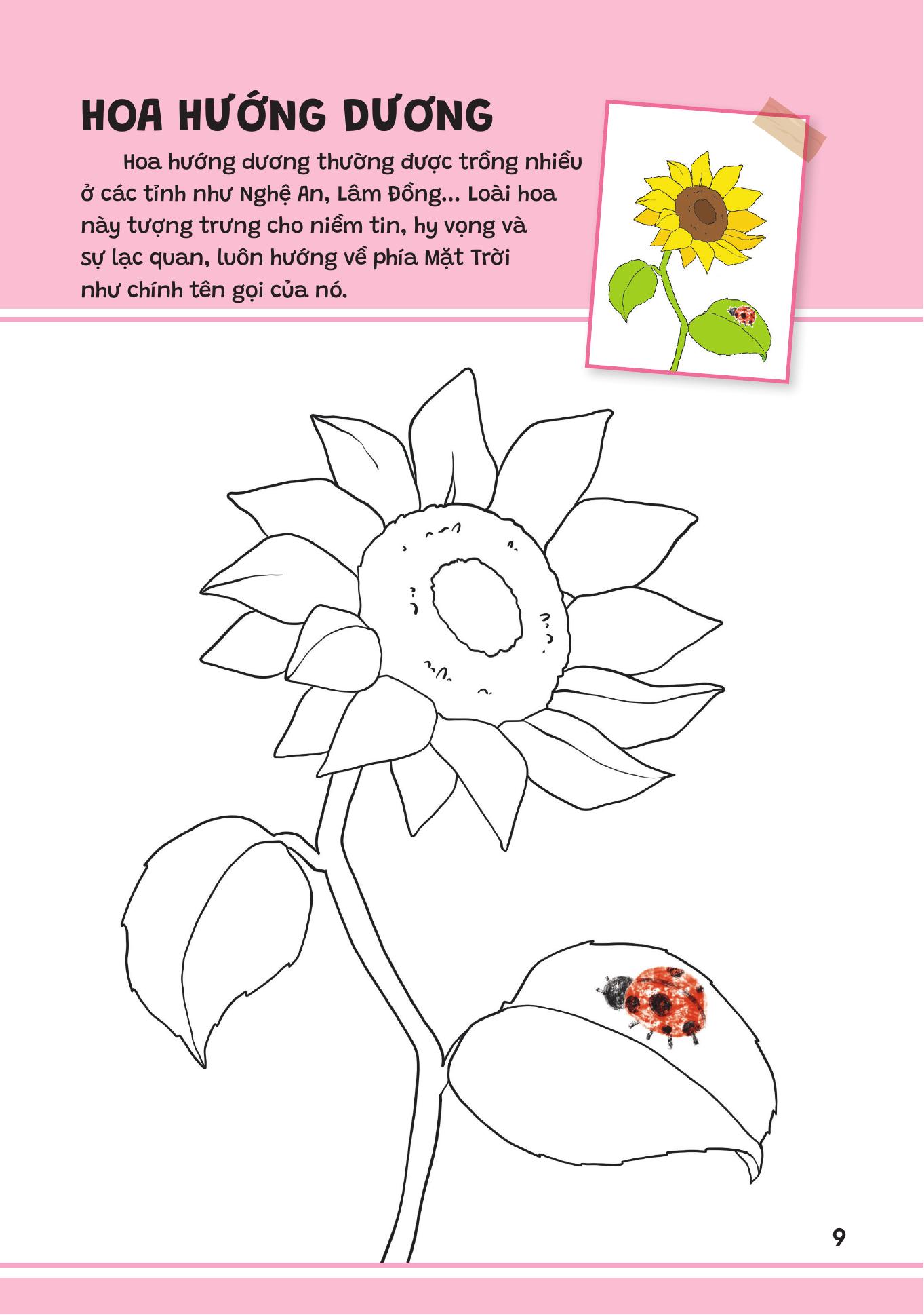 Yêu Quá Việt Nam - Các Loài Hoa - Ảnh 9