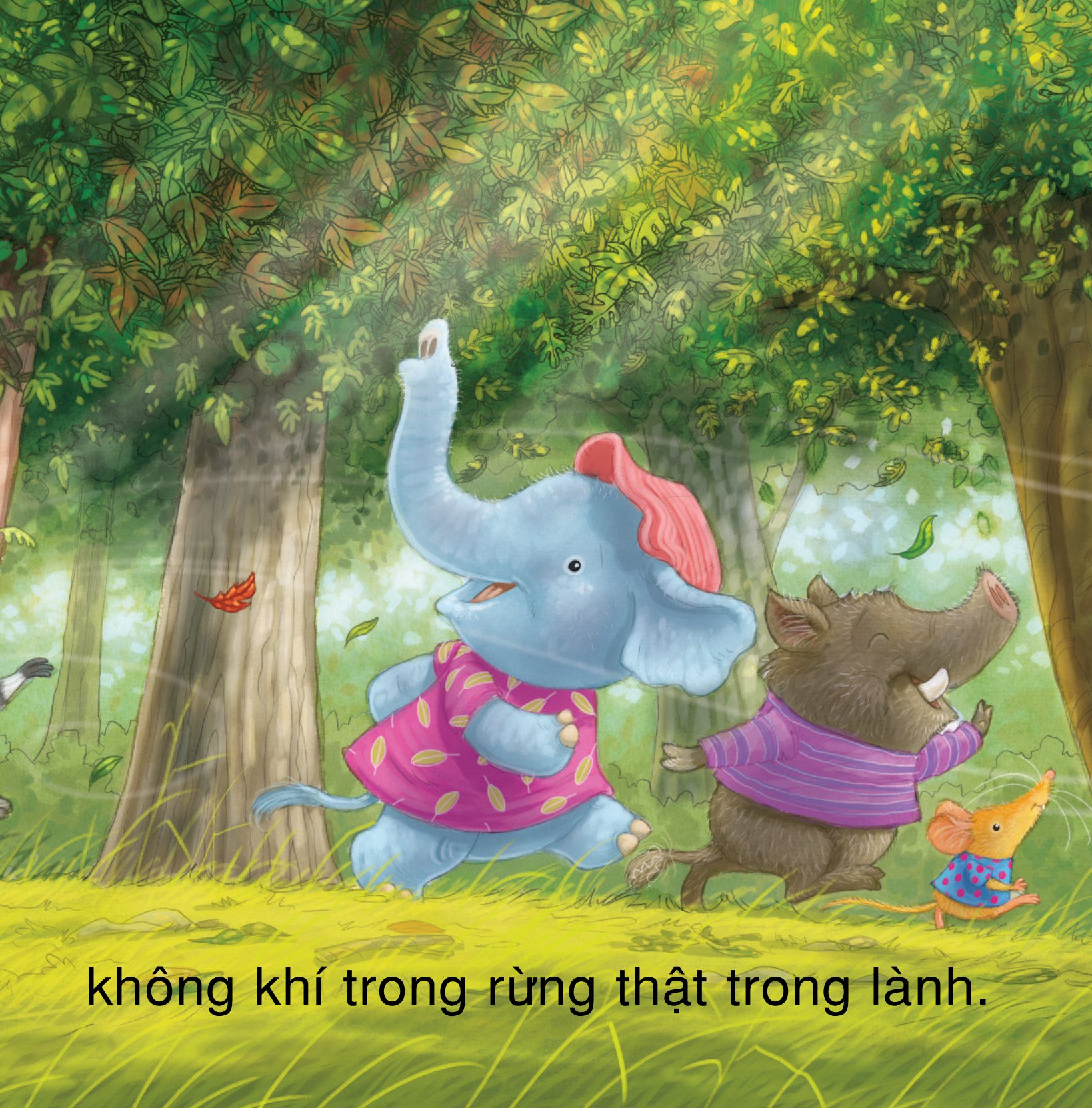 yêu rừng theo cách riêng của trẻ - vì sao tớ yêu rừng - Ảnh 5