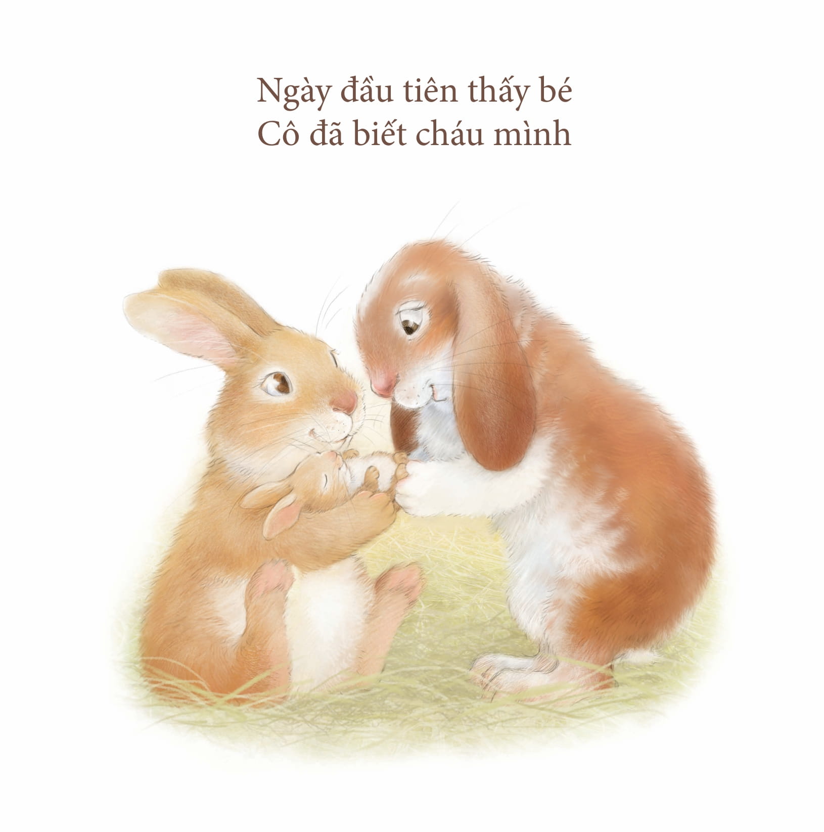 yêu thương cho con - cô yêu bé - Ảnh 3