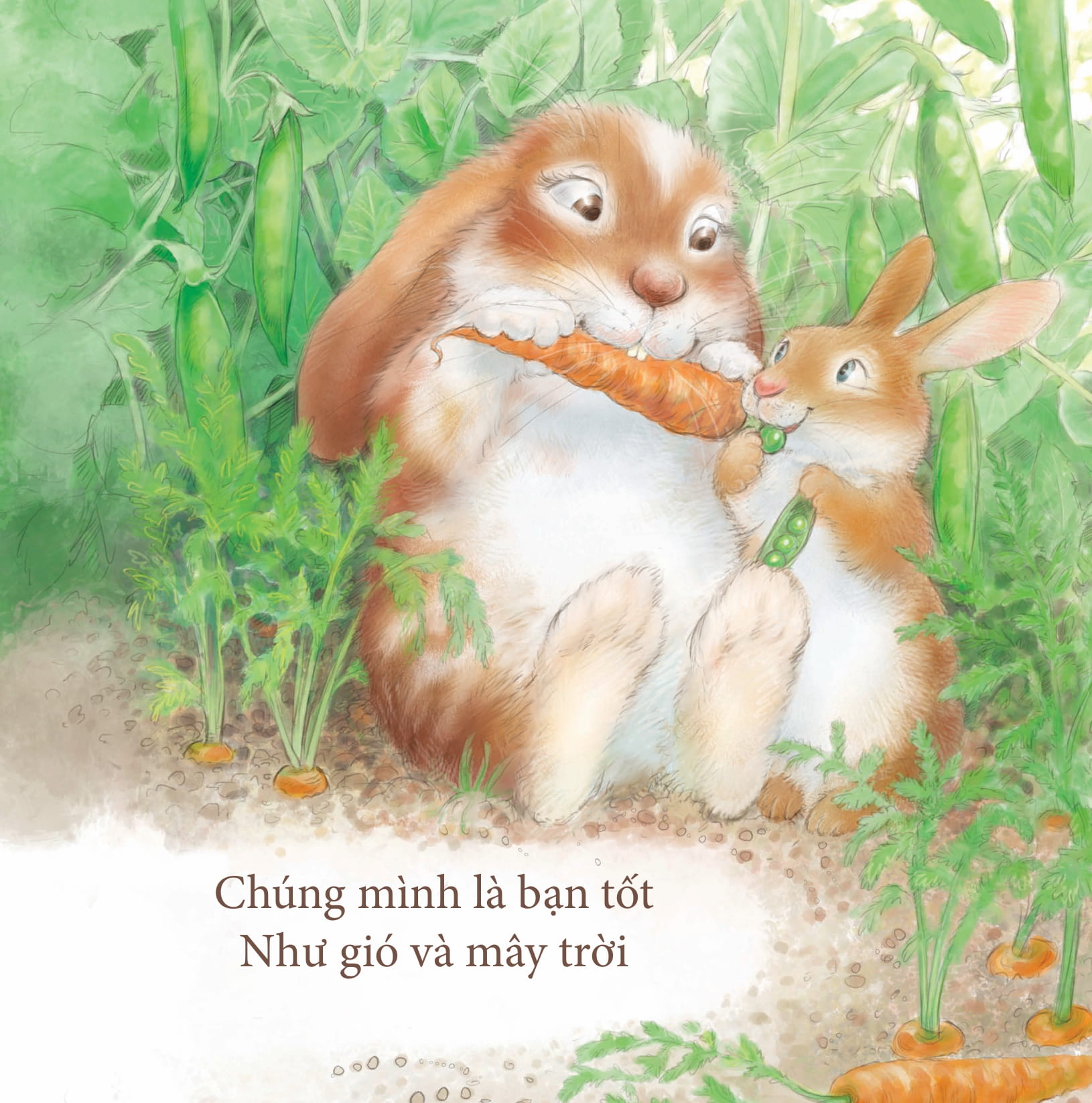 yêu thương cho con - cô yêu bé - Ảnh 5