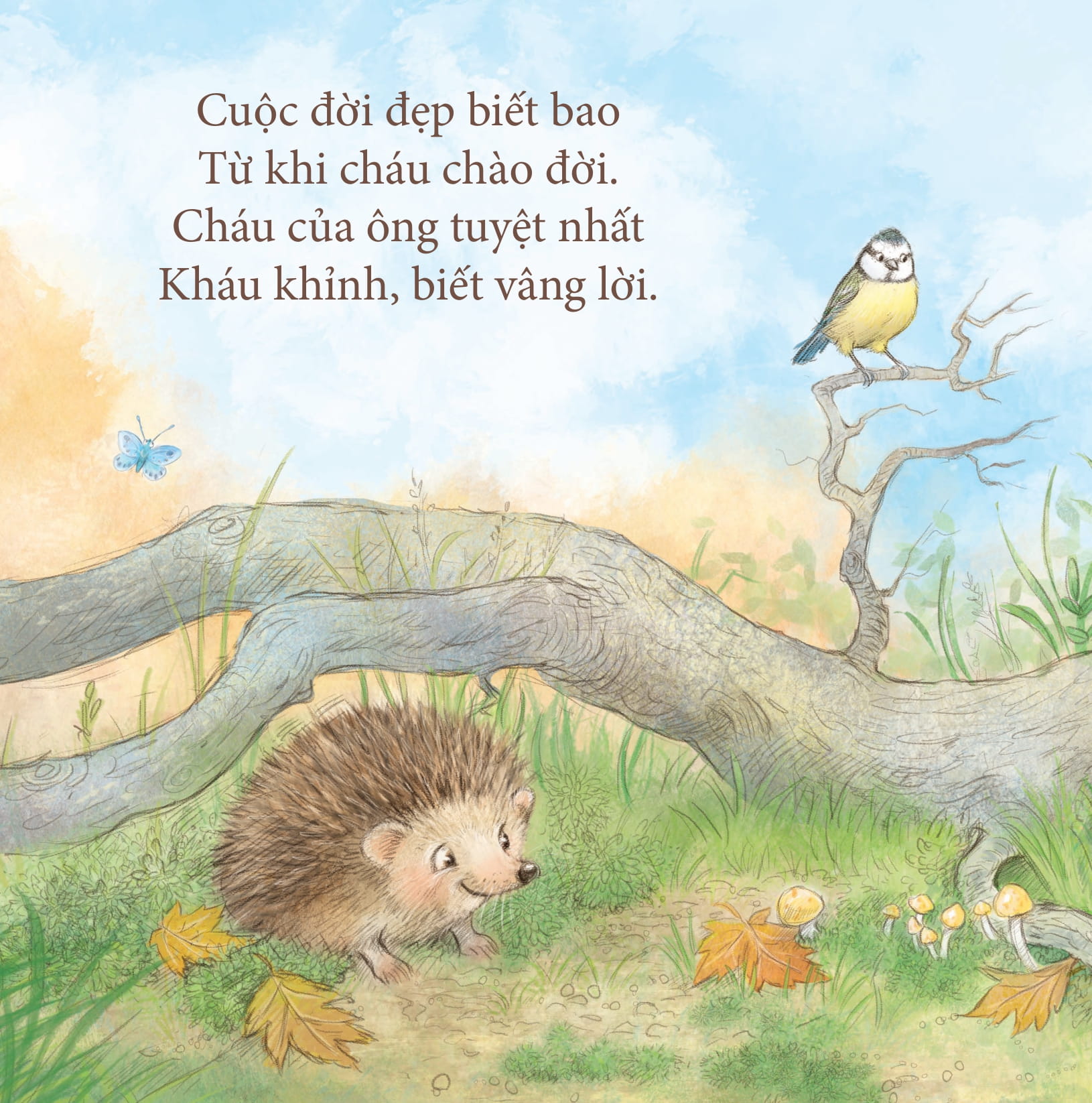 yêu thương cho con - ông yêu bé - Ảnh 5