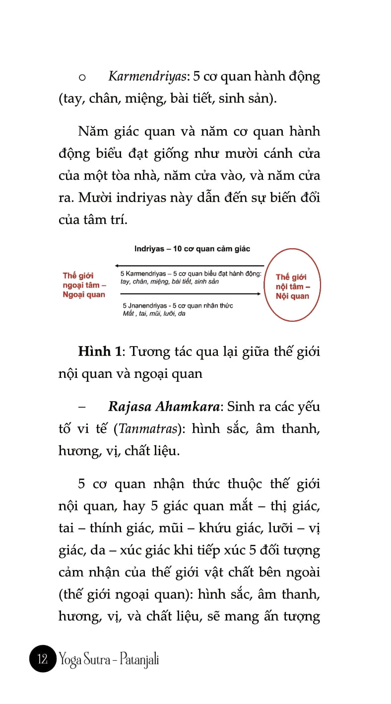 yoga sutra - Ảnh 10