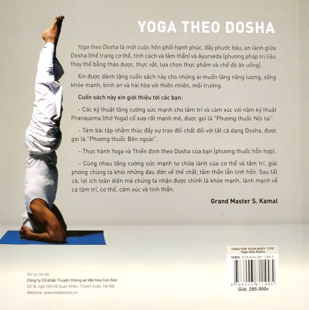 yoga theo dosha - Ảnh 6