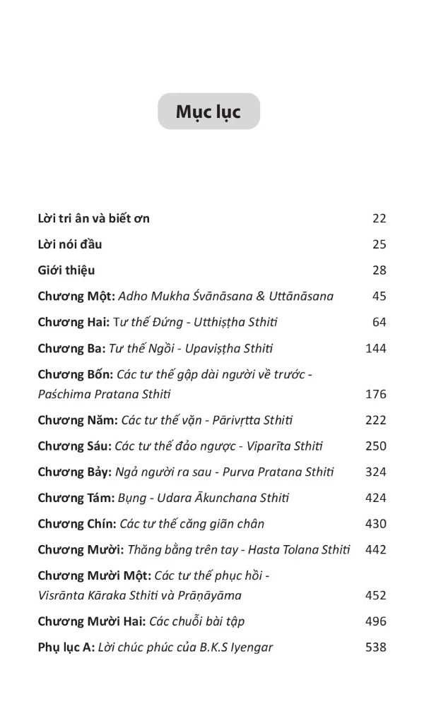 yoga với ghế bản đầy đủ - hướng dẫn thực hành toàn diện iyengar yoga với ghế - Ảnh 3