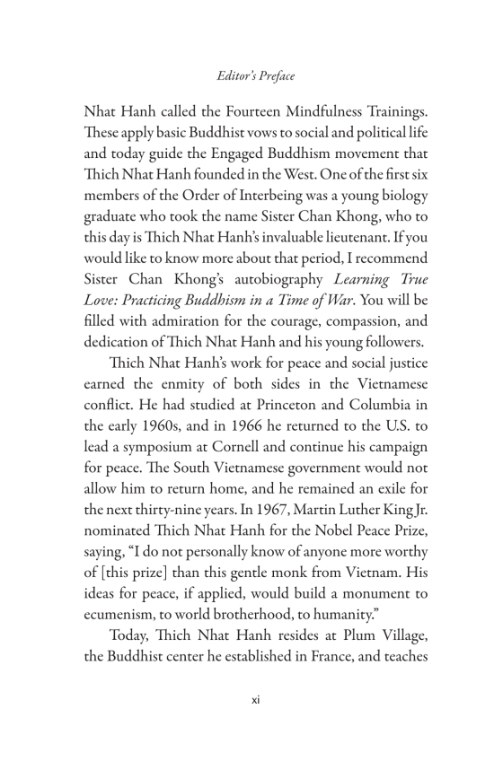 you are here - discovering the magic of the present moment - Ảnh 10