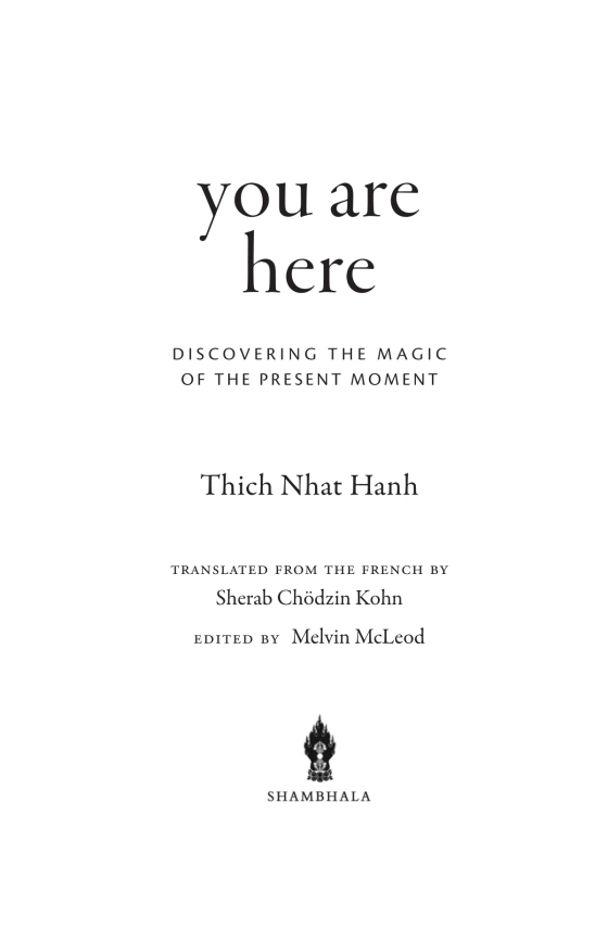 you are here - discovering the magic of the present moment - Ảnh 4