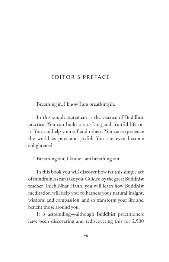 you are here - discovering the magic of the present moment - Ảnh 6